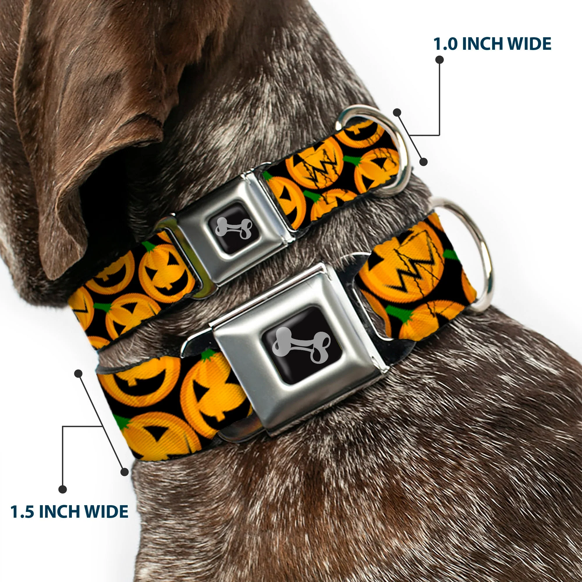 Dog Bone Seatbelt Buckle Collar - Jack-o'-Lantern Collage Black - Image 2