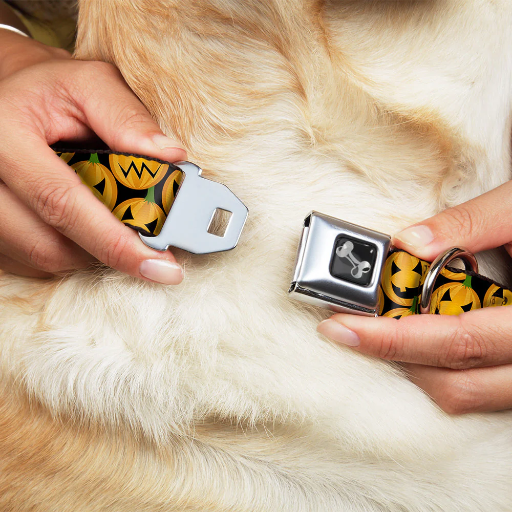 Dog Bone Seatbelt Buckle Collar - Jack-o'-Lantern Collage Black - Image 8