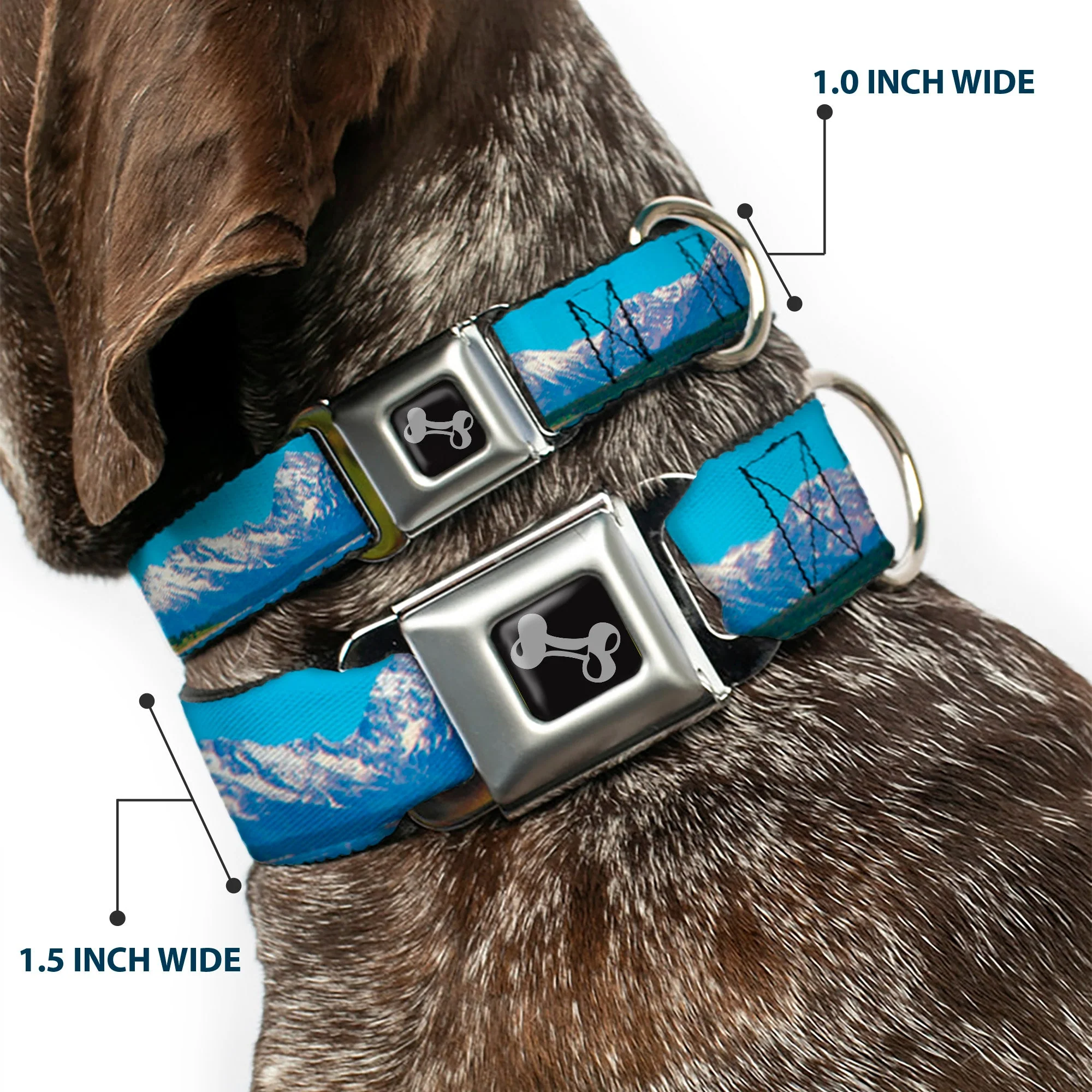 Dog Bone Seatbelt Buckle Collar - Landscape Snowy Mountains - Image 2