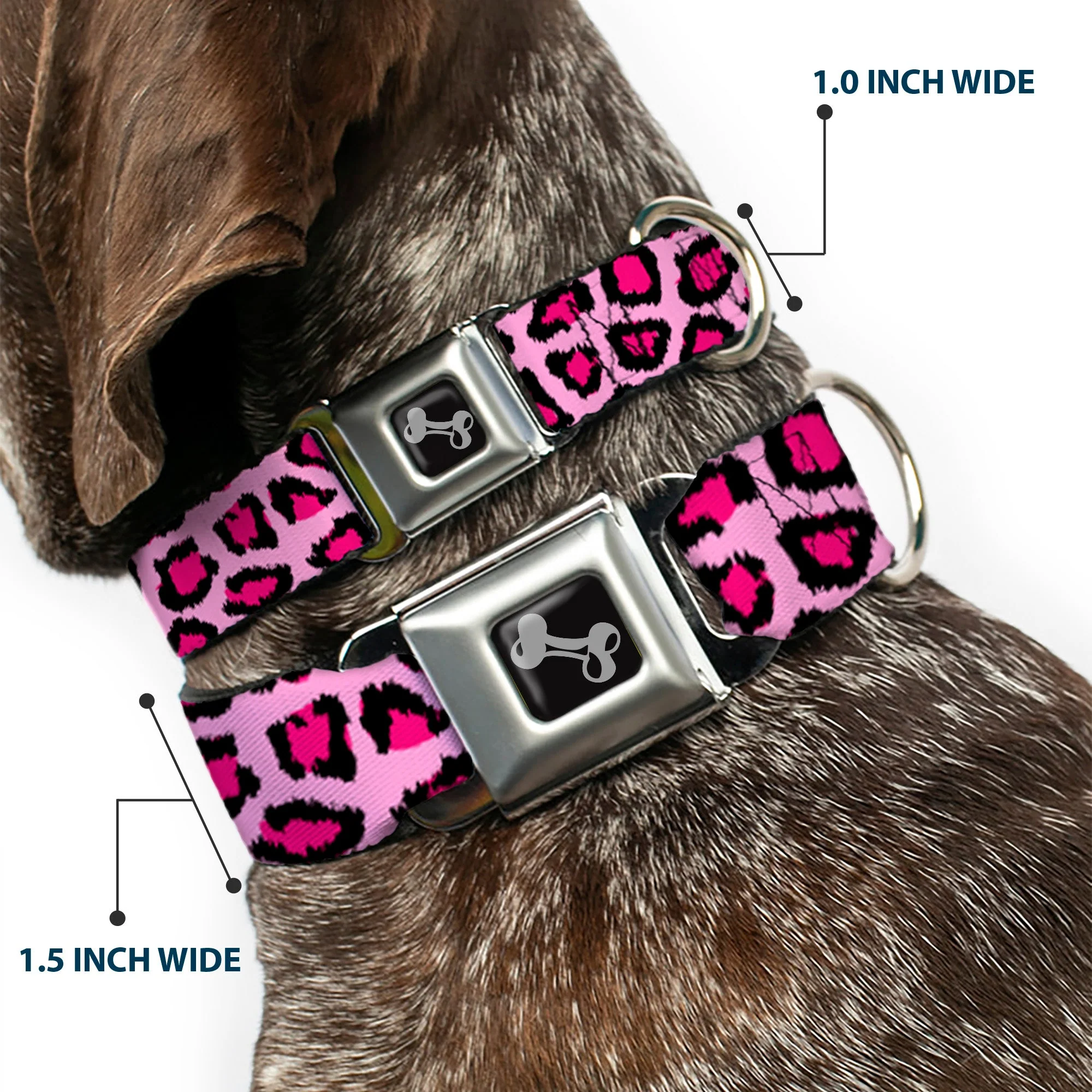 Dog Bone Seatbelt Buckle Collar - Leopard CLOSE-UP Pink - Image 2