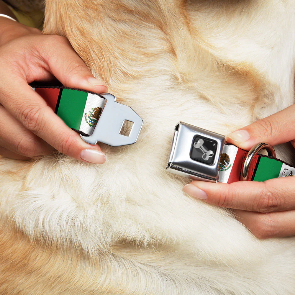Dog Bone Seatbelt Buckle Collar - Mexico Flags - Image 8