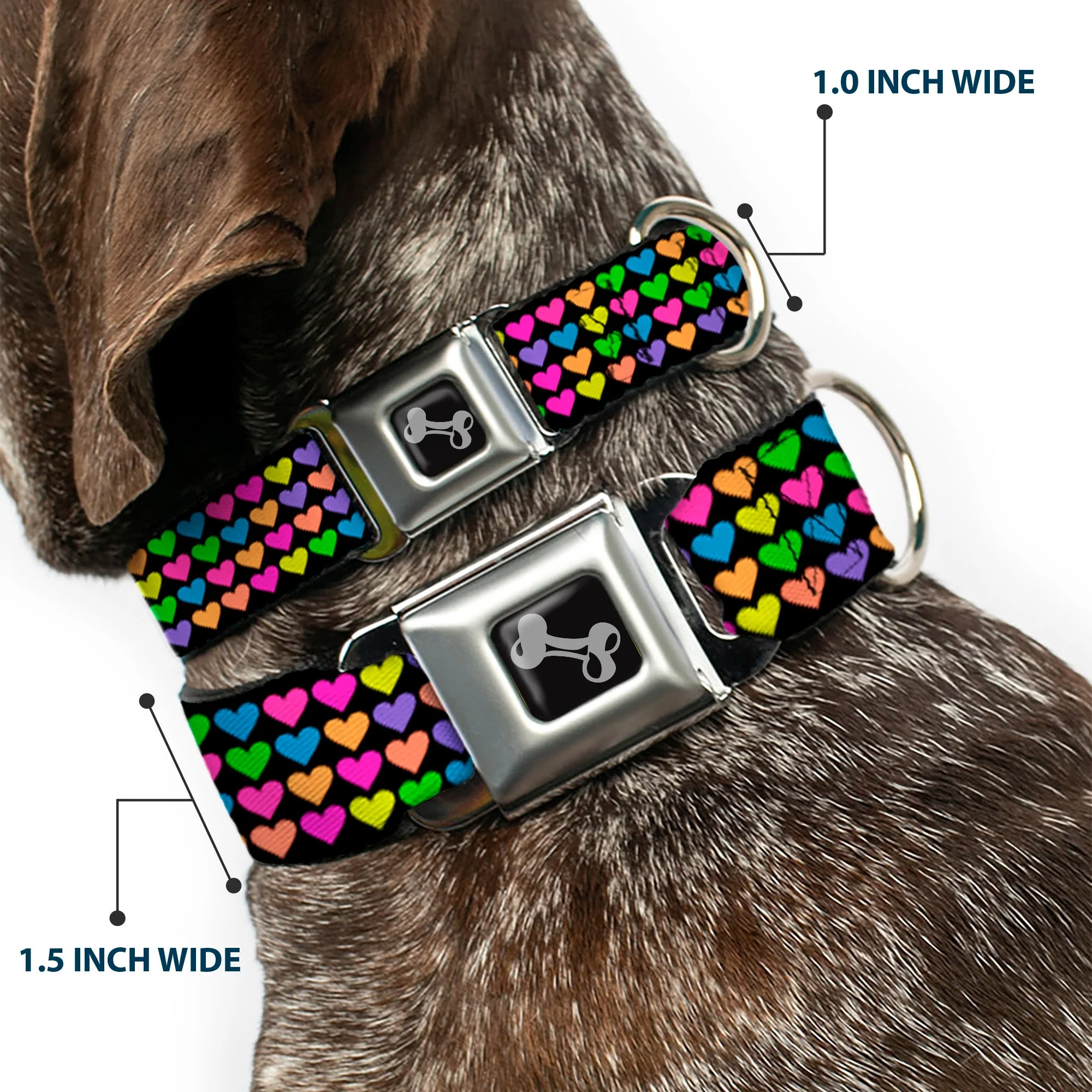 Dog Bone Seatbelt Buckle Collar - Mini Hearts Black/Multi Neon - Image 2