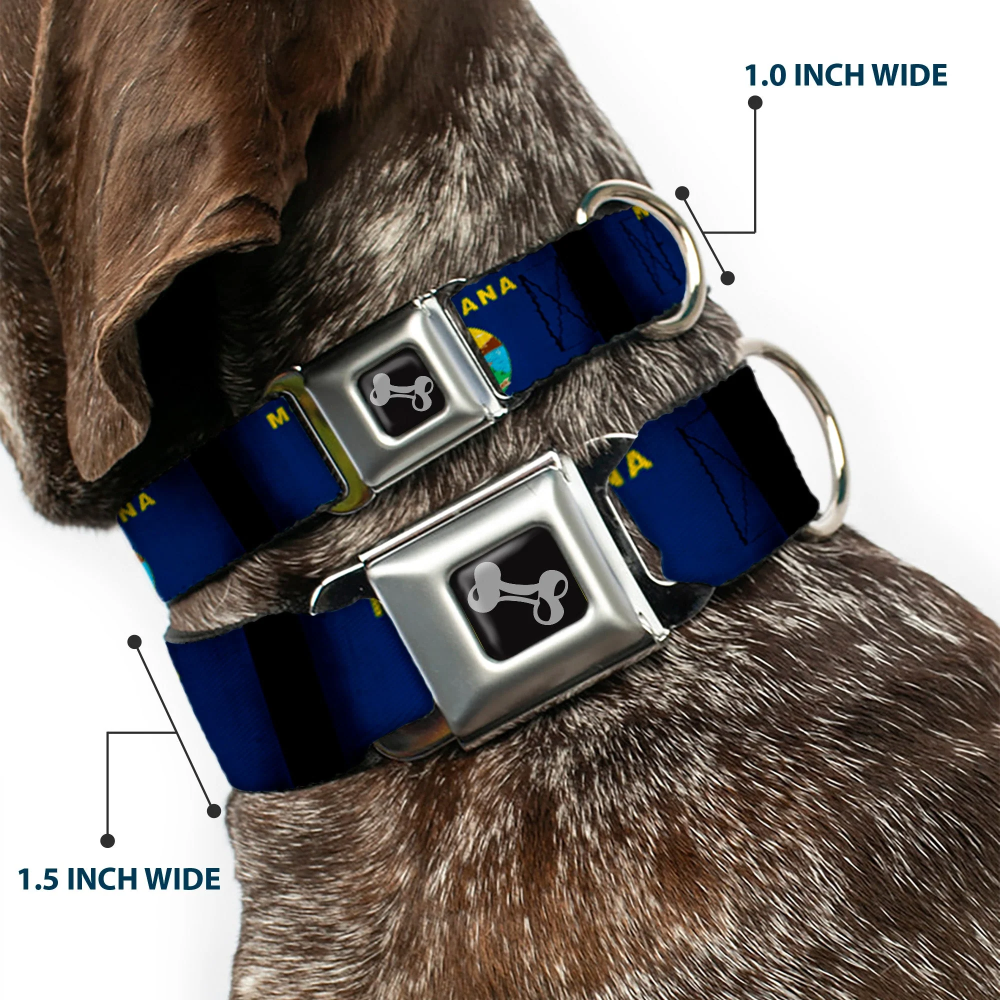 Dog Bone Seatbelt Buckle Collar - Montana Flags2 - Image 2