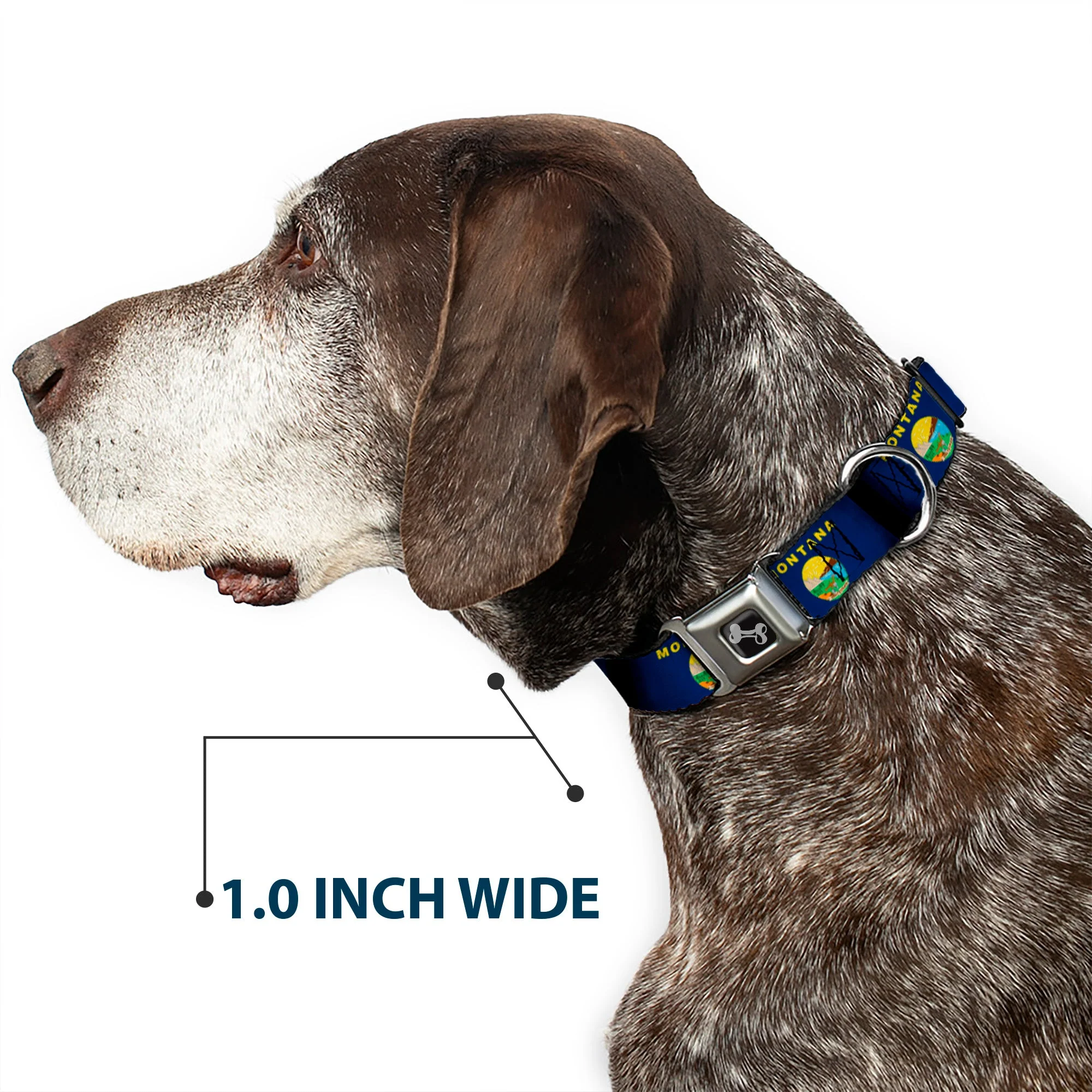 Dog Bone Seatbelt Buckle Collar - Montana Flags2 - Image 6