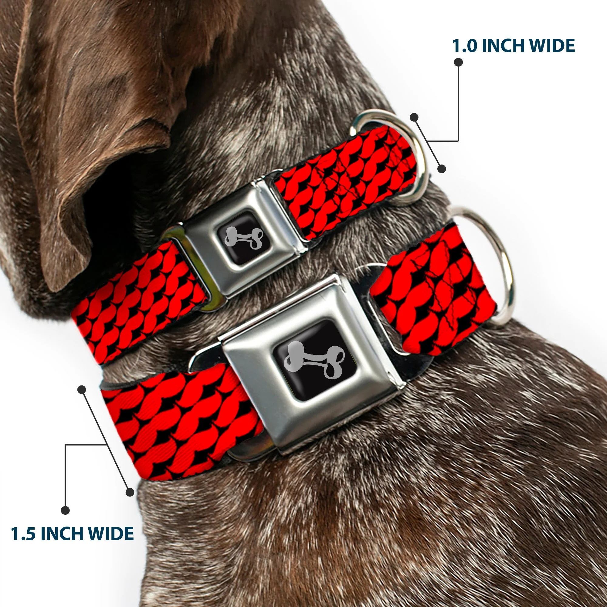 Dog Bone Seatbelt Buckle Collar - Mustache Monogram Black/Red - Image 2
