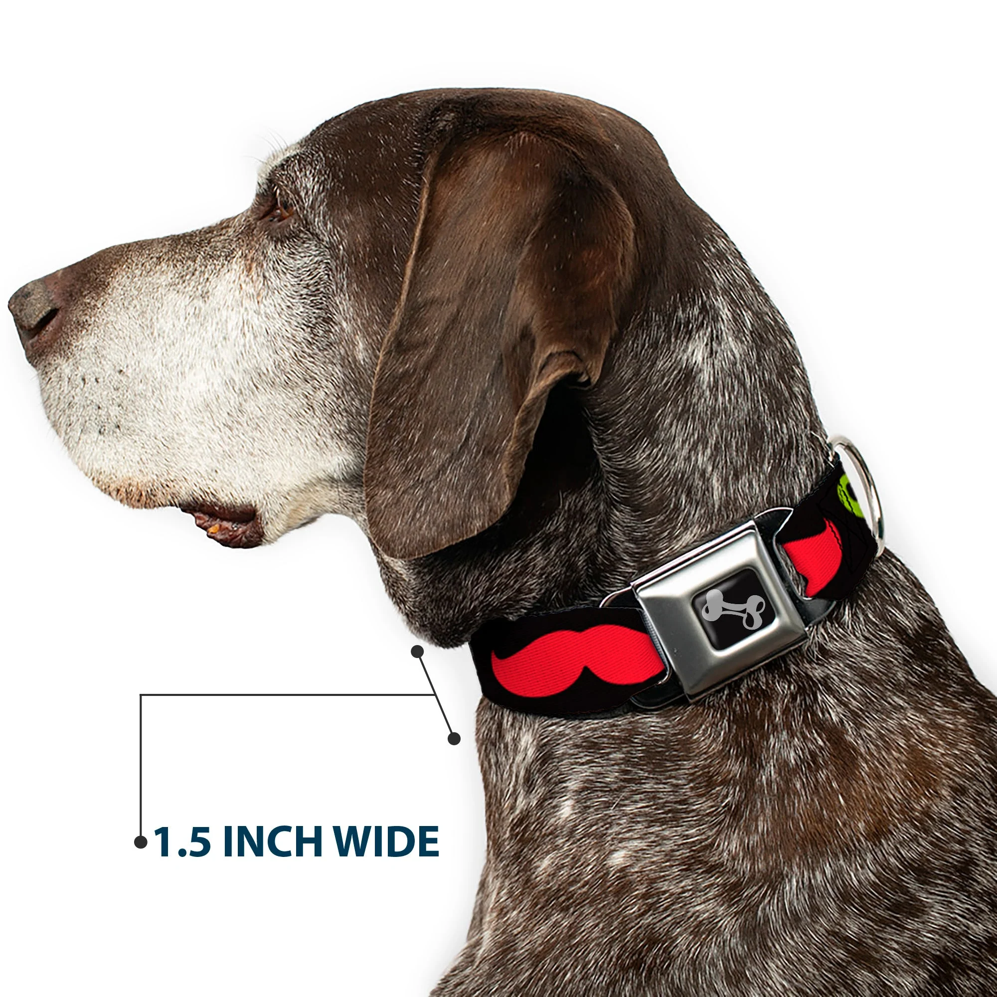 Dog Bone Seatbelt Buckle Collar - Mustaches-4 Black/Multi Color - Image 7