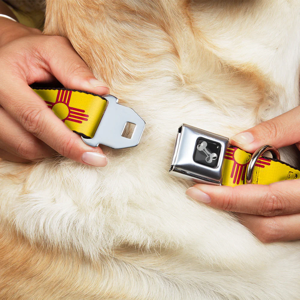 Dog Bone Seatbelt Buckle Collar - New Mexico Flag/Black - Image 8
