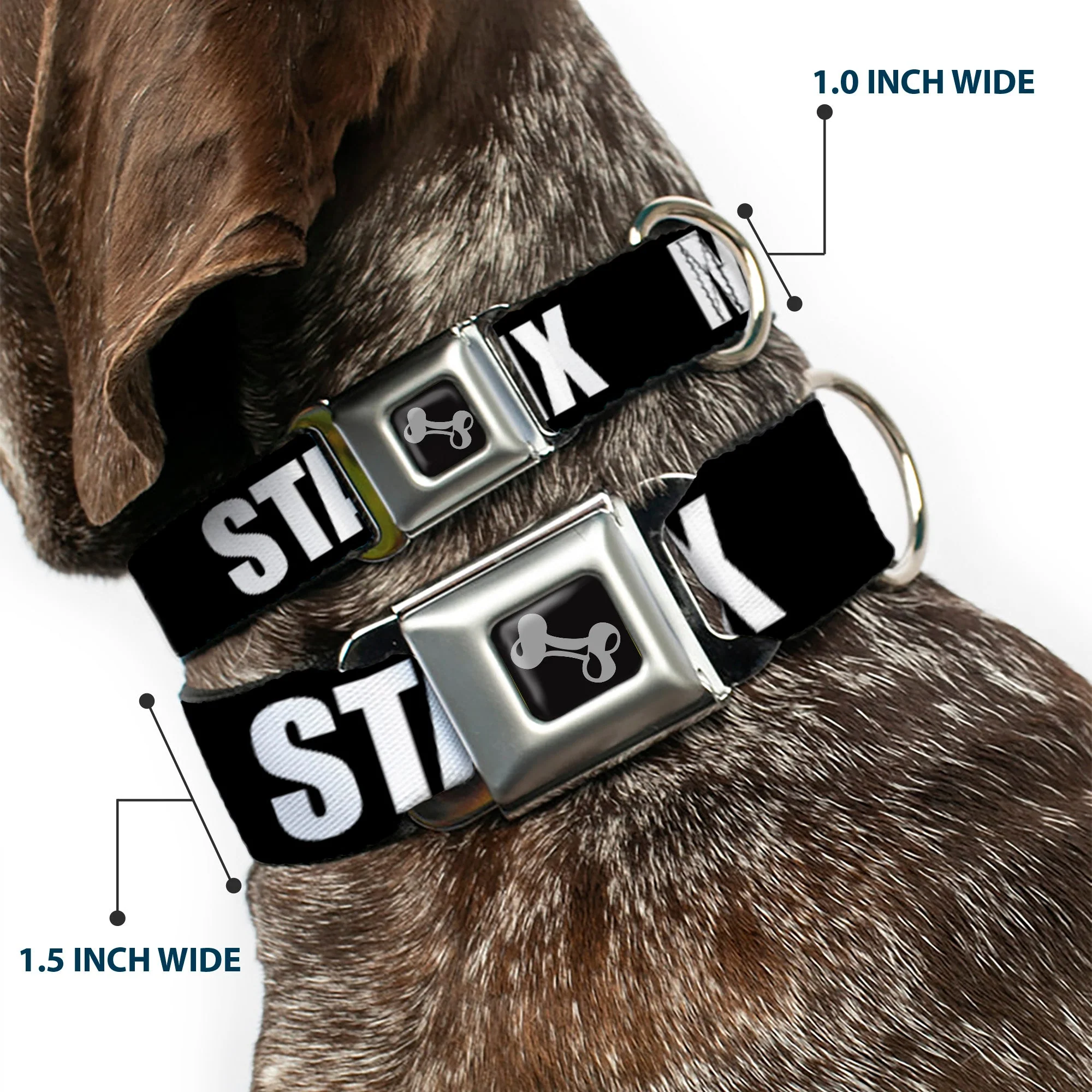 Dog Bone Seatbelt Buckle Collar - New York's Five Burroughs Bold Black/White - Image 2