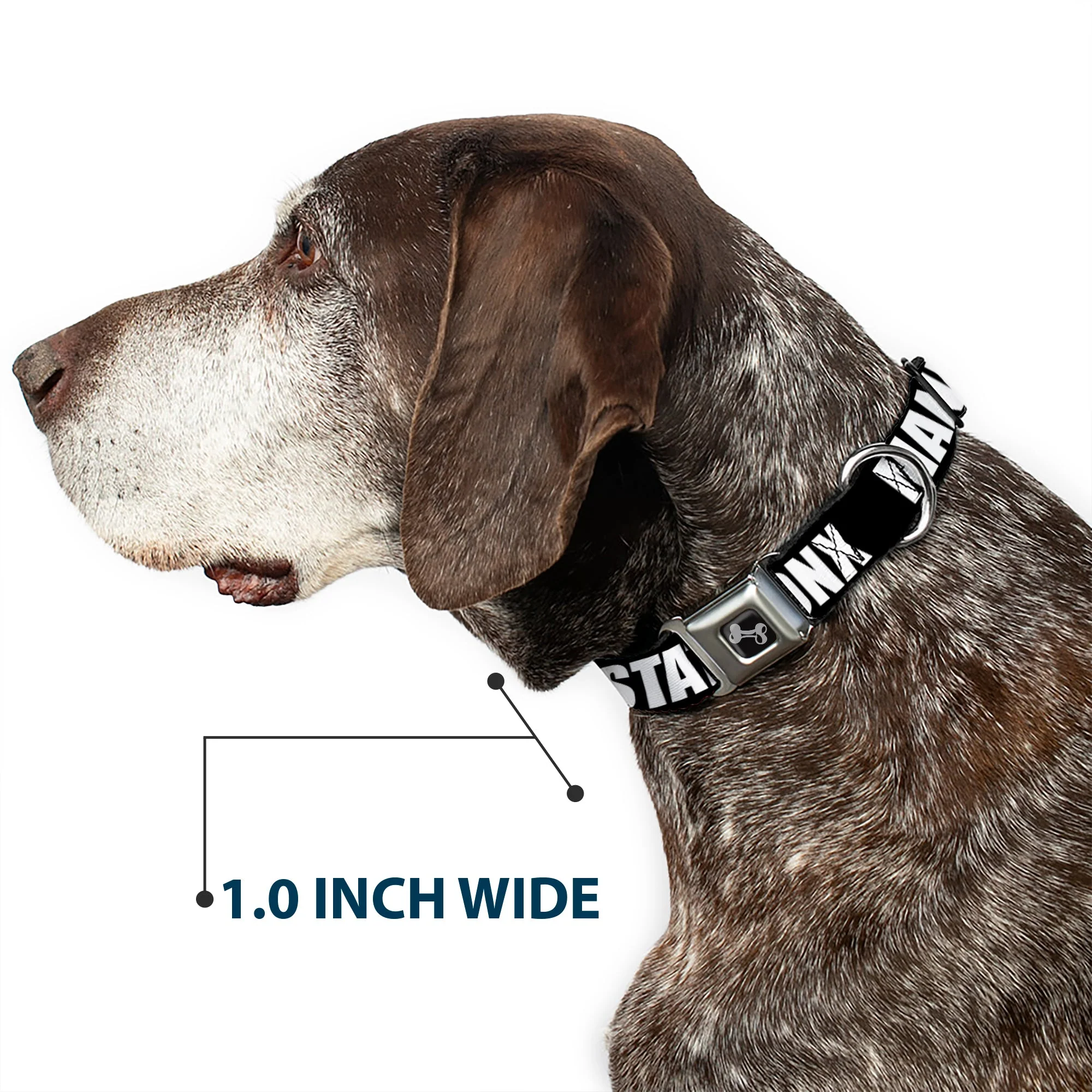 Dog Bone Seatbelt Buckle Collar - New York's Five Burroughs Bold Black/White - Image 6
