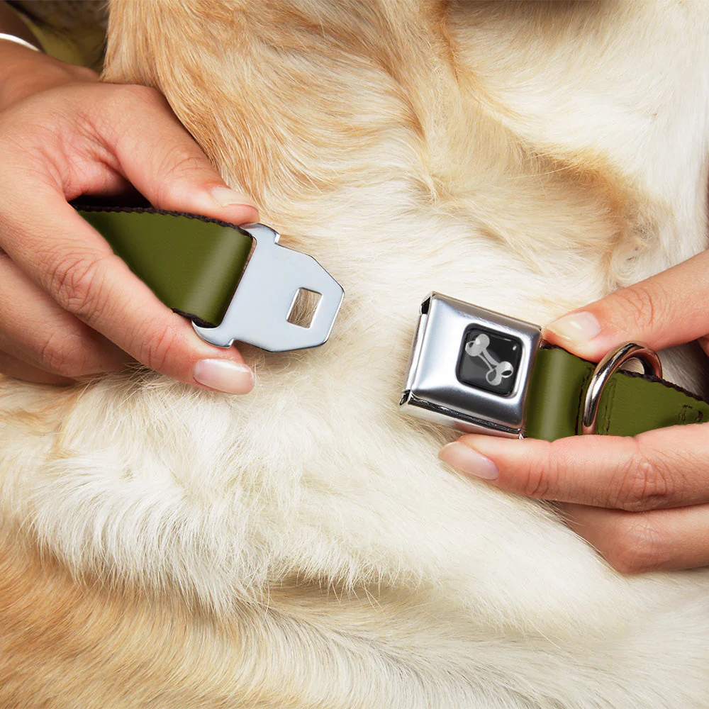 Dog Bone Seatbelt Buckle Collar - Olive - Image 8