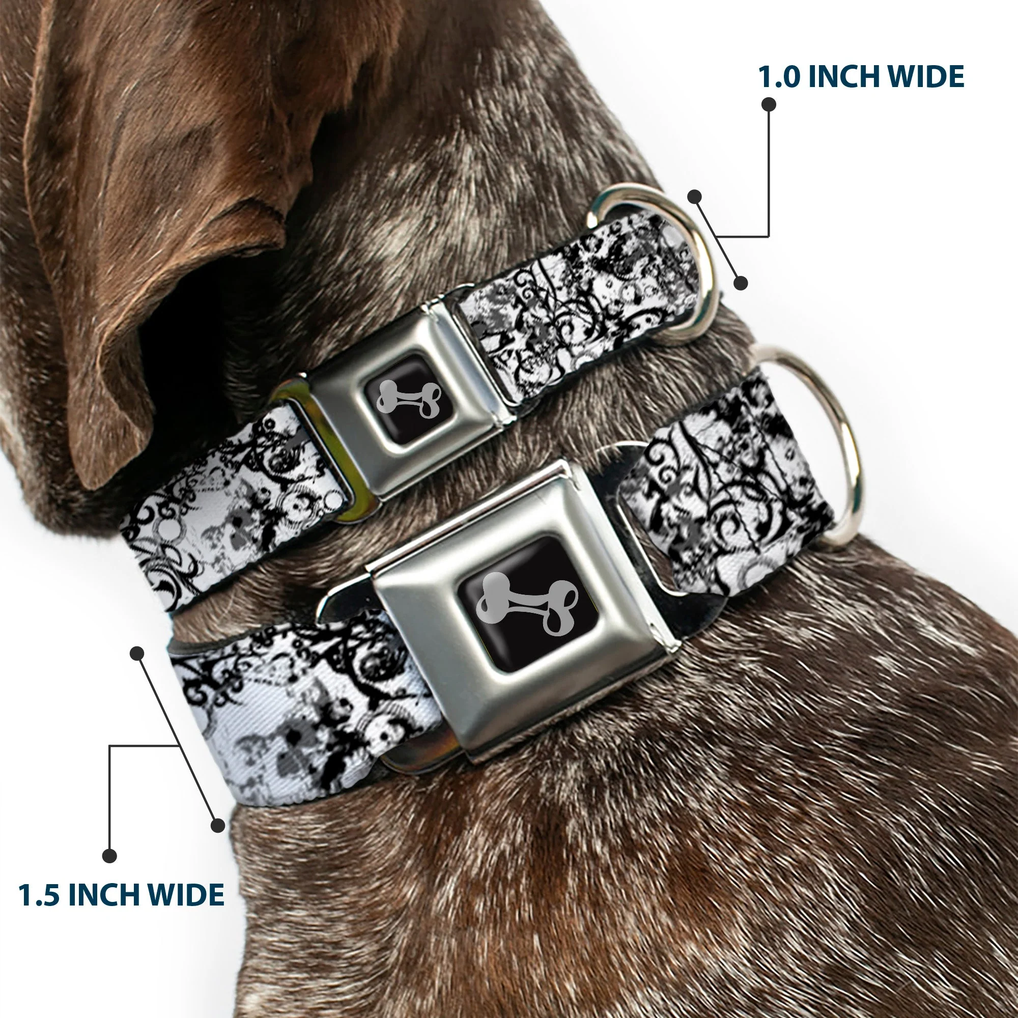 Dog Bone Seatbelt Buckle Collar - Orthodox Chaos - Image 2