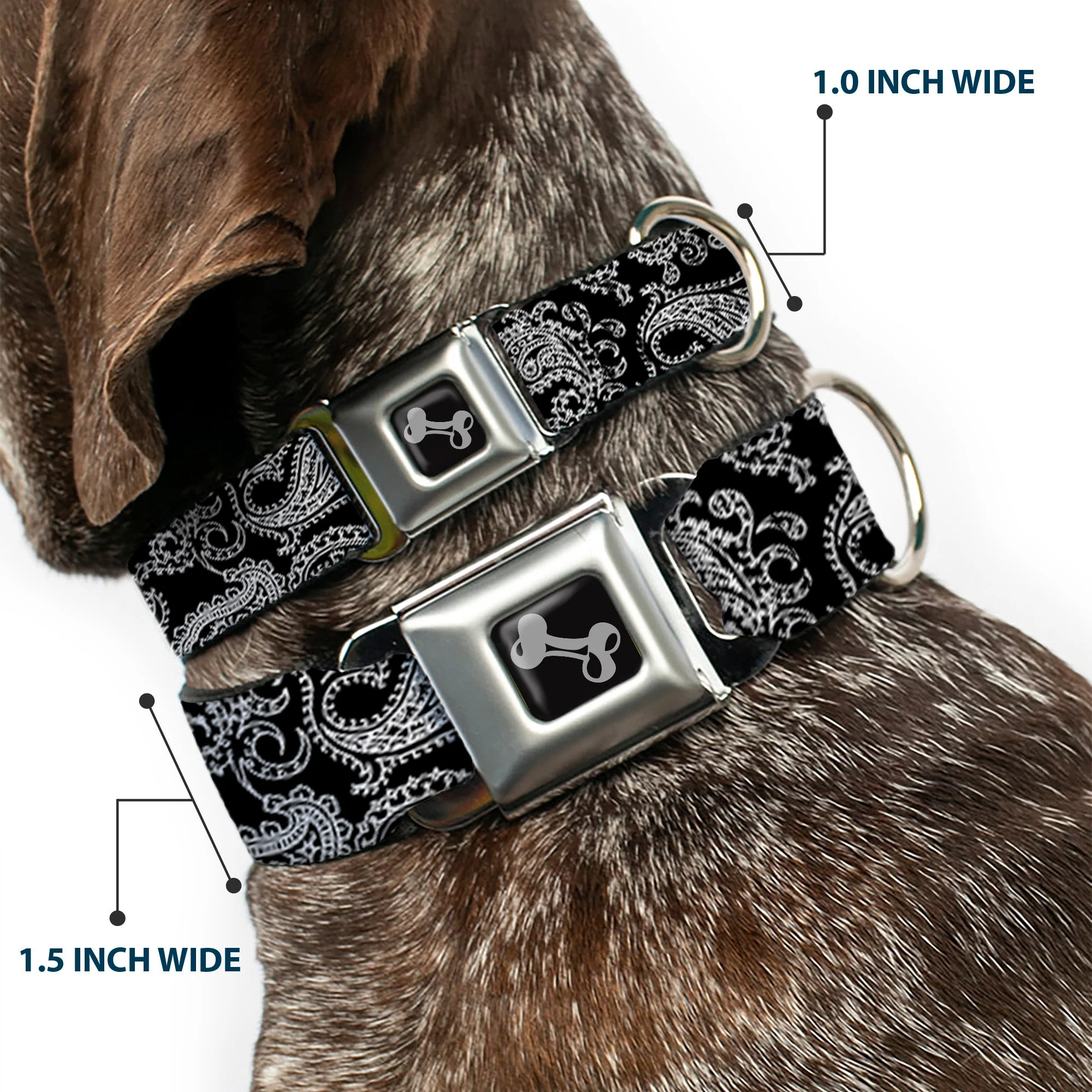 Dog Bone Seatbelt Buckle Collar - Paisley2 Black/White - Image 2