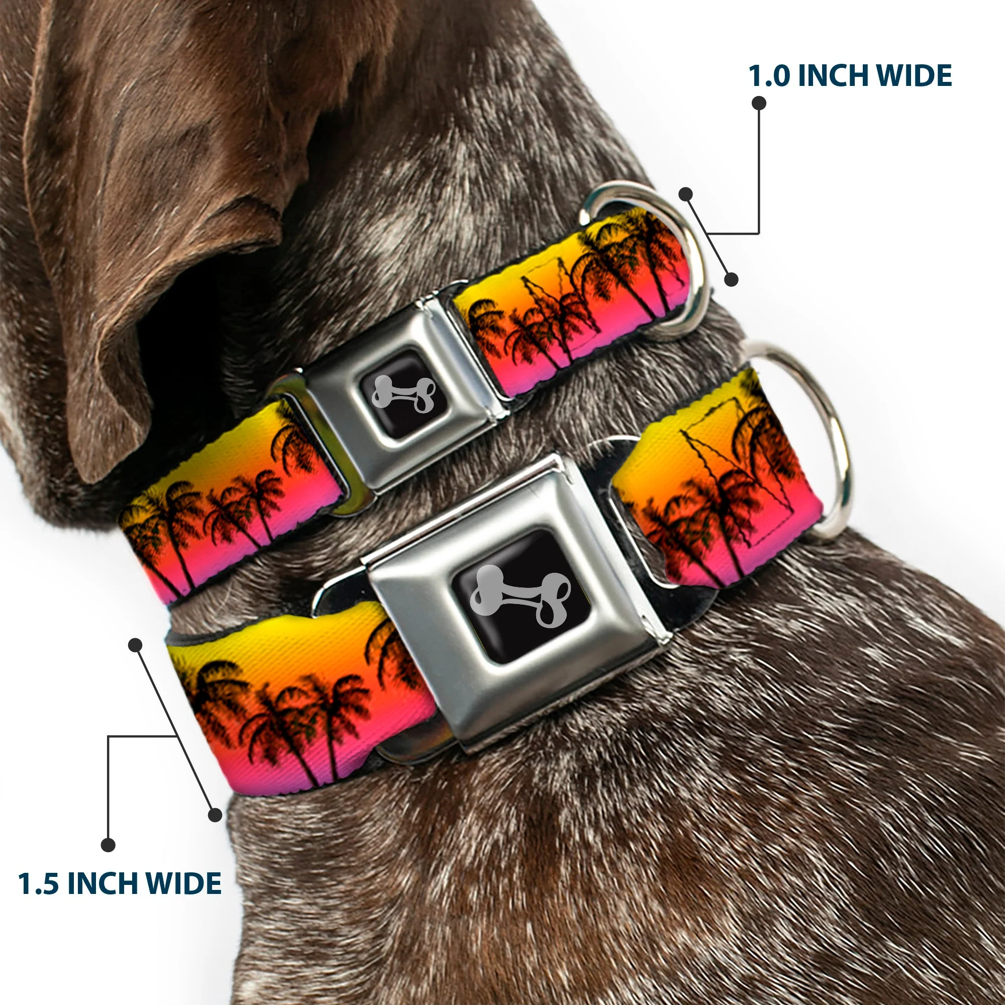 Dog Bone Seatbelt Buckle Collar - Palm Trees Sunset Fade/Black - Image 2