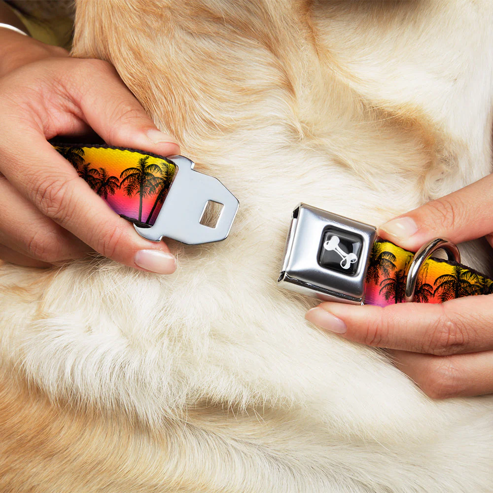 Dog Bone Seatbelt Buckle Collar - Palm Trees Sunset Fade/Black - Image 8