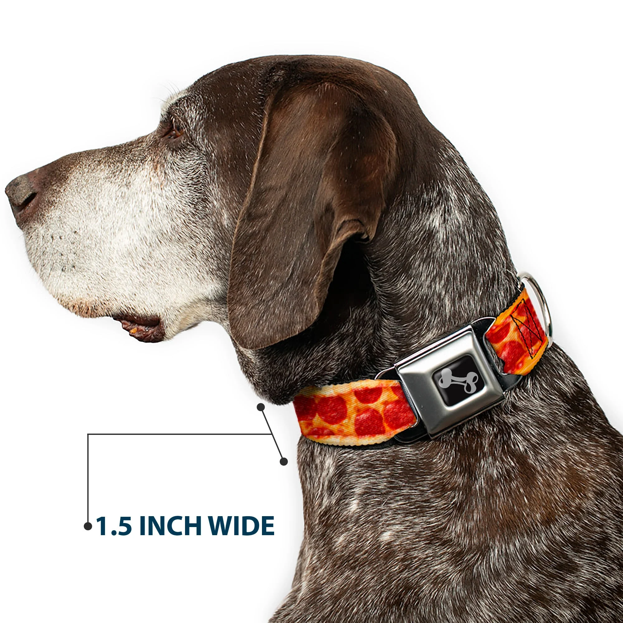 Dog Bone Seatbelt Buckle Collar - Pepperoni Pizza w/Crust Vivid - Image 7