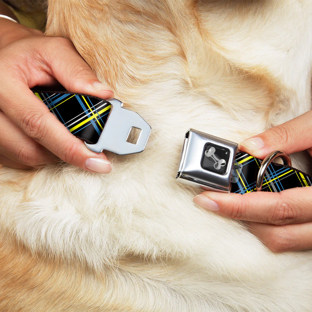 Dog Bone Seatbelt Buckle Collar - Plaid Black/Yellow/Turquoise/Gray - Image 8