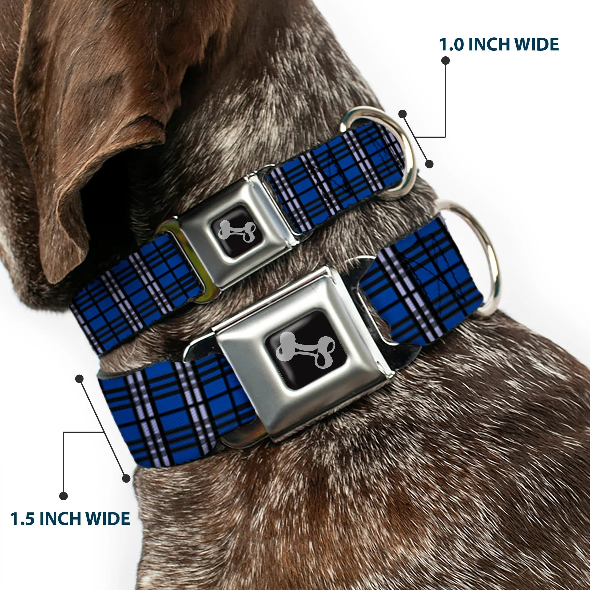 Dog Bone Seatbelt Buckle Collar - Plaid Navy - Image 2