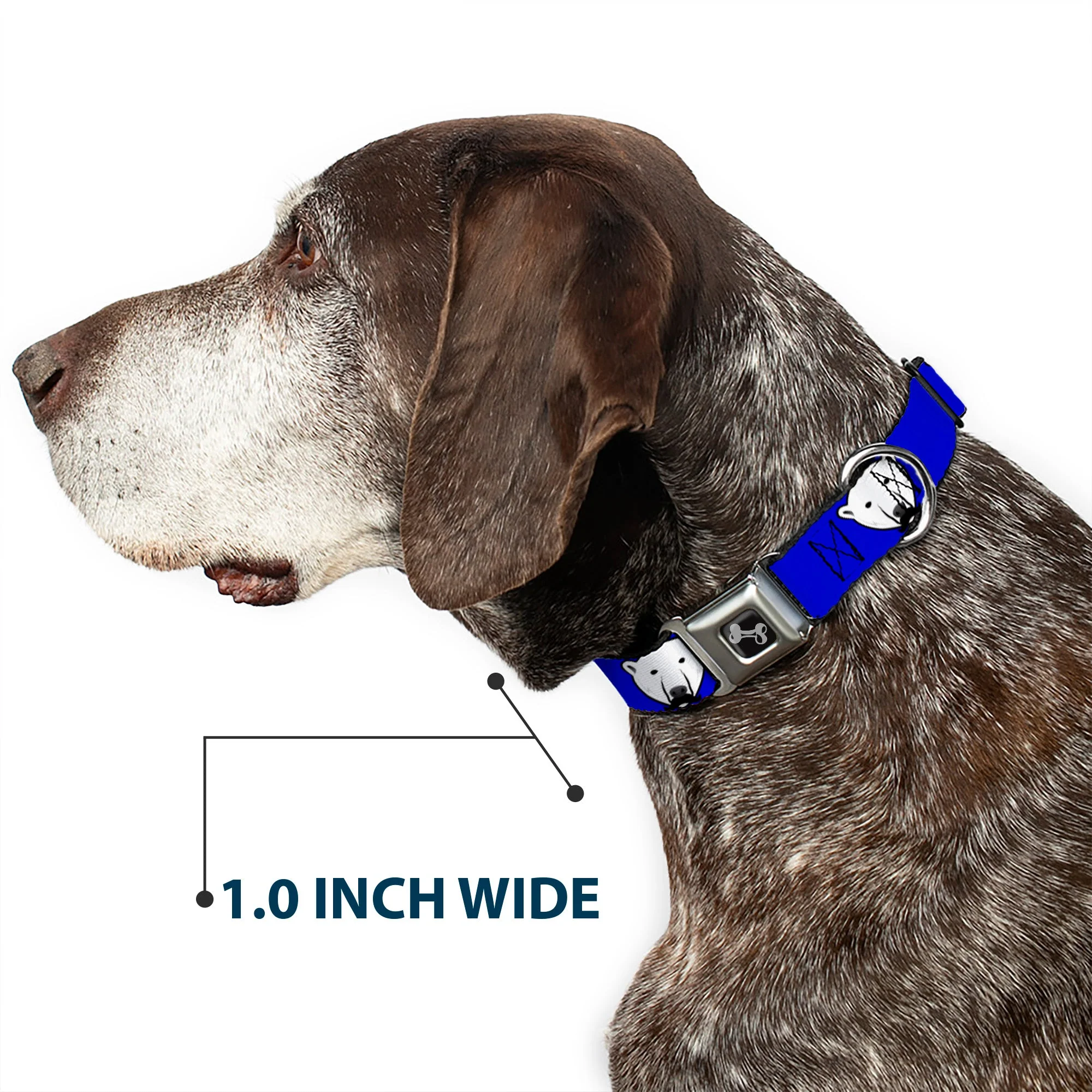 Dog Bone Seatbelt Buckle Collar - Polar Bear w/Mustache Royal - Image 6