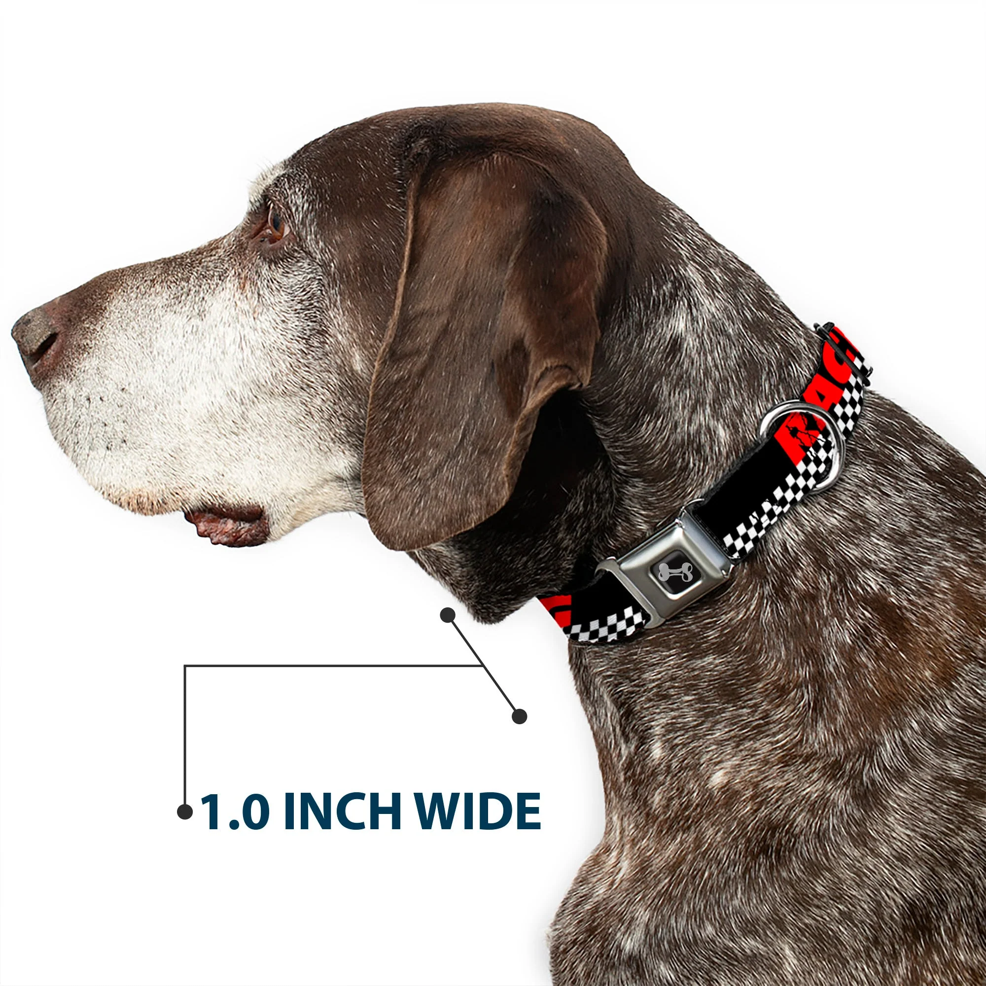 Dog Bone Seatbelt Buckle Collar - RACING w/Checker Black/White/Red - Image 6