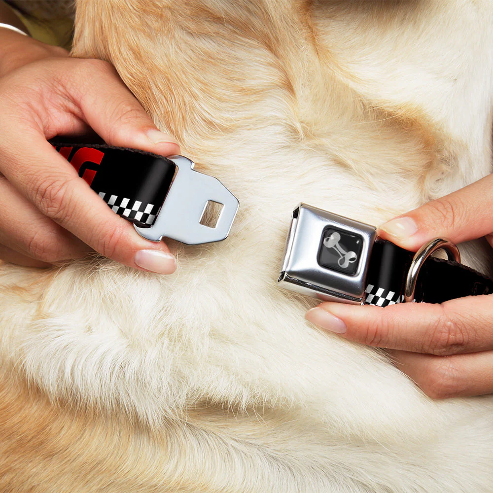 Dog Bone Seatbelt Buckle Collar - RACING w/Checker Black/White/Red - Image 8