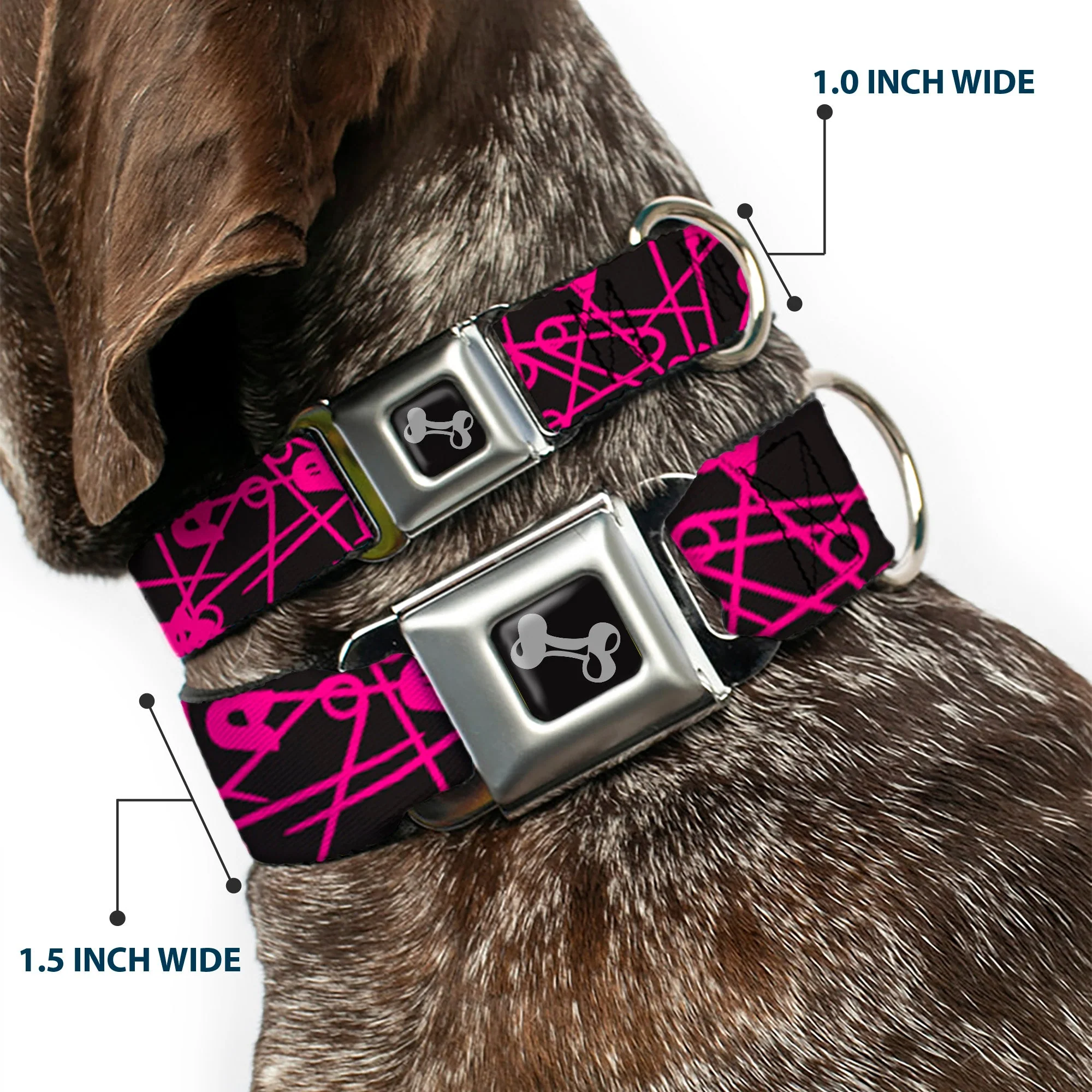 Dog Bone Seatbelt Buckle Collar - Safety Pins Black/Fuchsia - Image 2