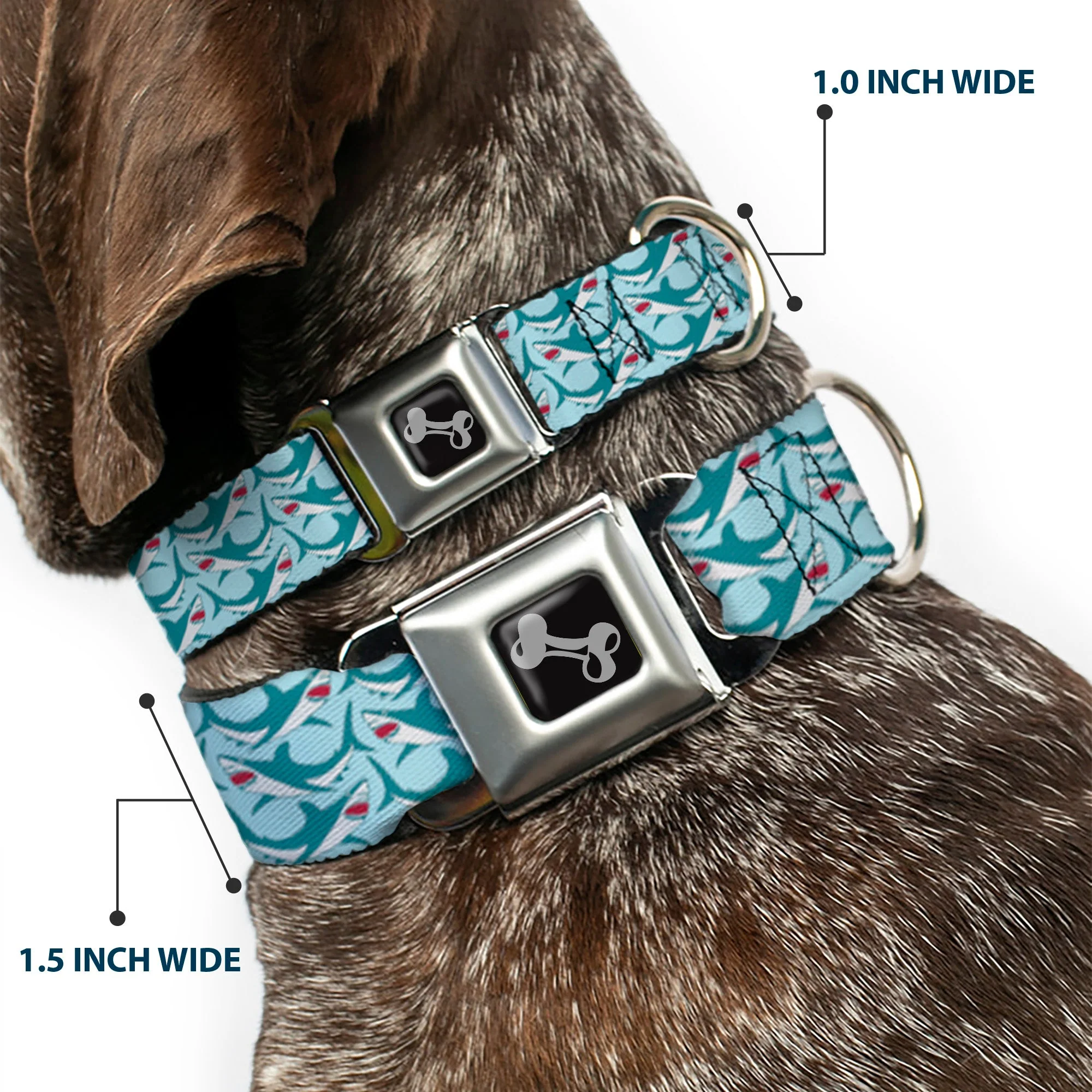 Dog Bone Seatbelt Buckle Collar - Shark 3-Rows Light Blue - Image 2