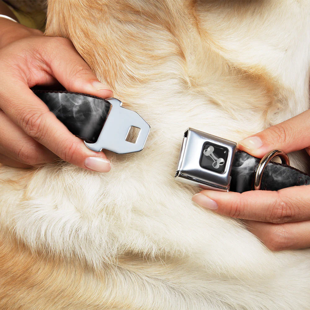 Dog Bone Seatbelt Buckle Collar - Smoke Black/Grays - Image 8