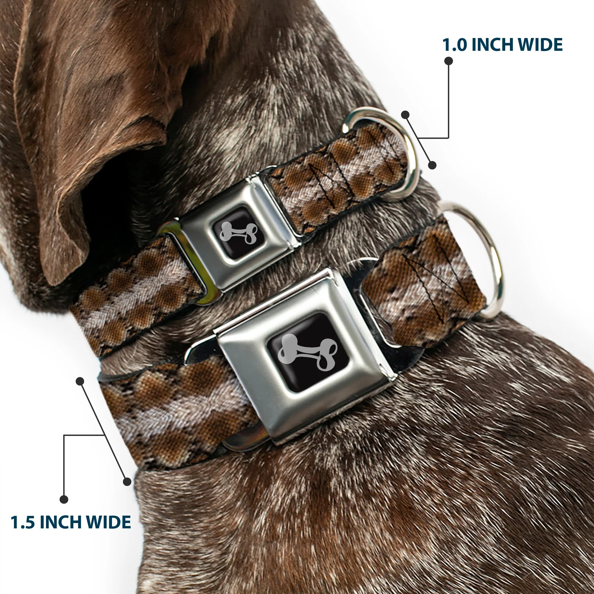 Dog Bone Seatbelt Buckle Collar - Snake Skin 2 - Image 2