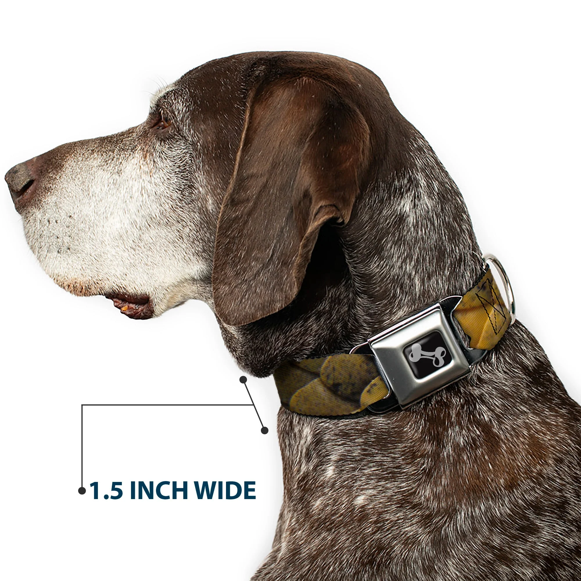 Dog Bone Seatbelt Buckle Collar - Snake Skin CLOSE-UP - Image 7
