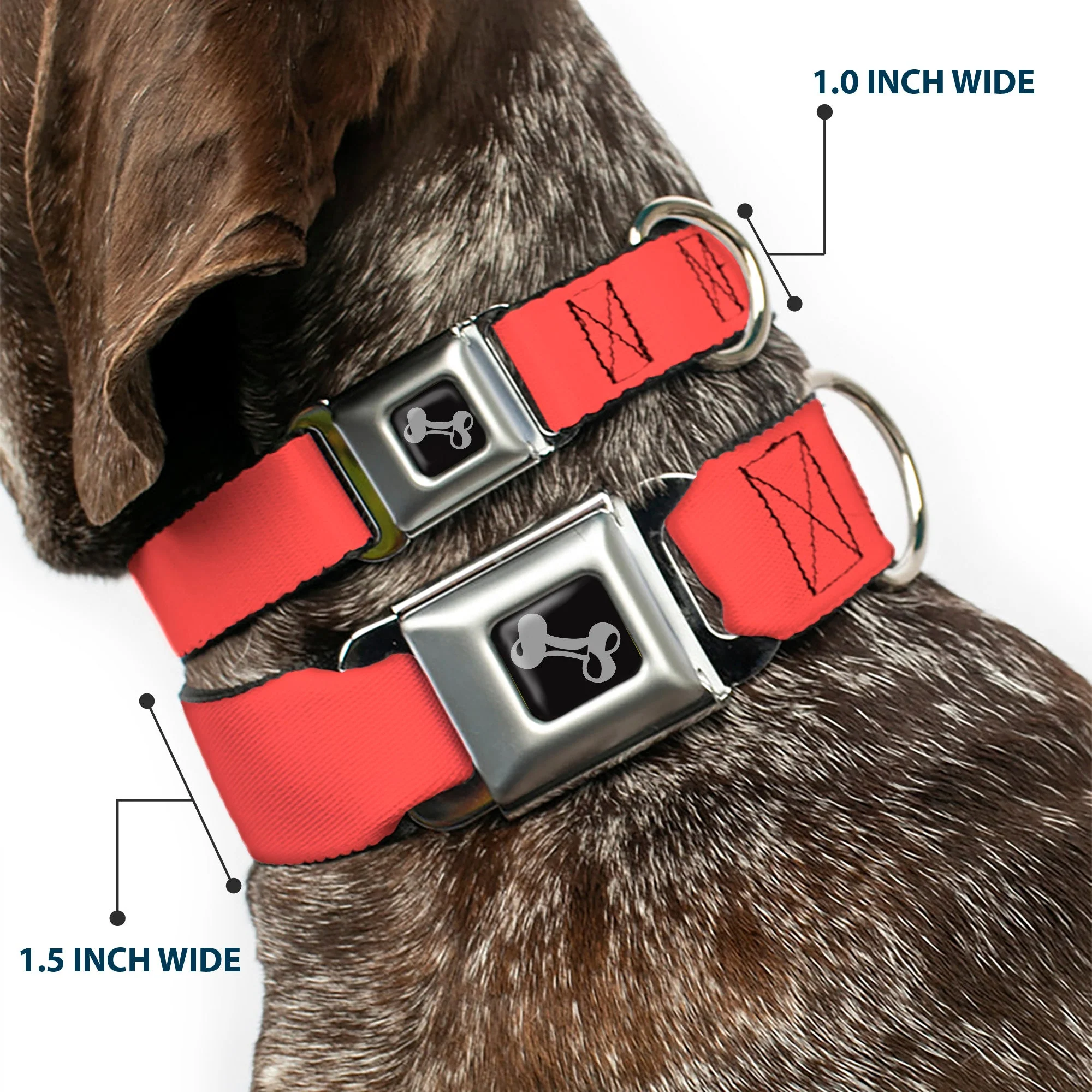 Dog Bone Seatbelt Buckle Collar - Solid Salmon Orange - Image 2