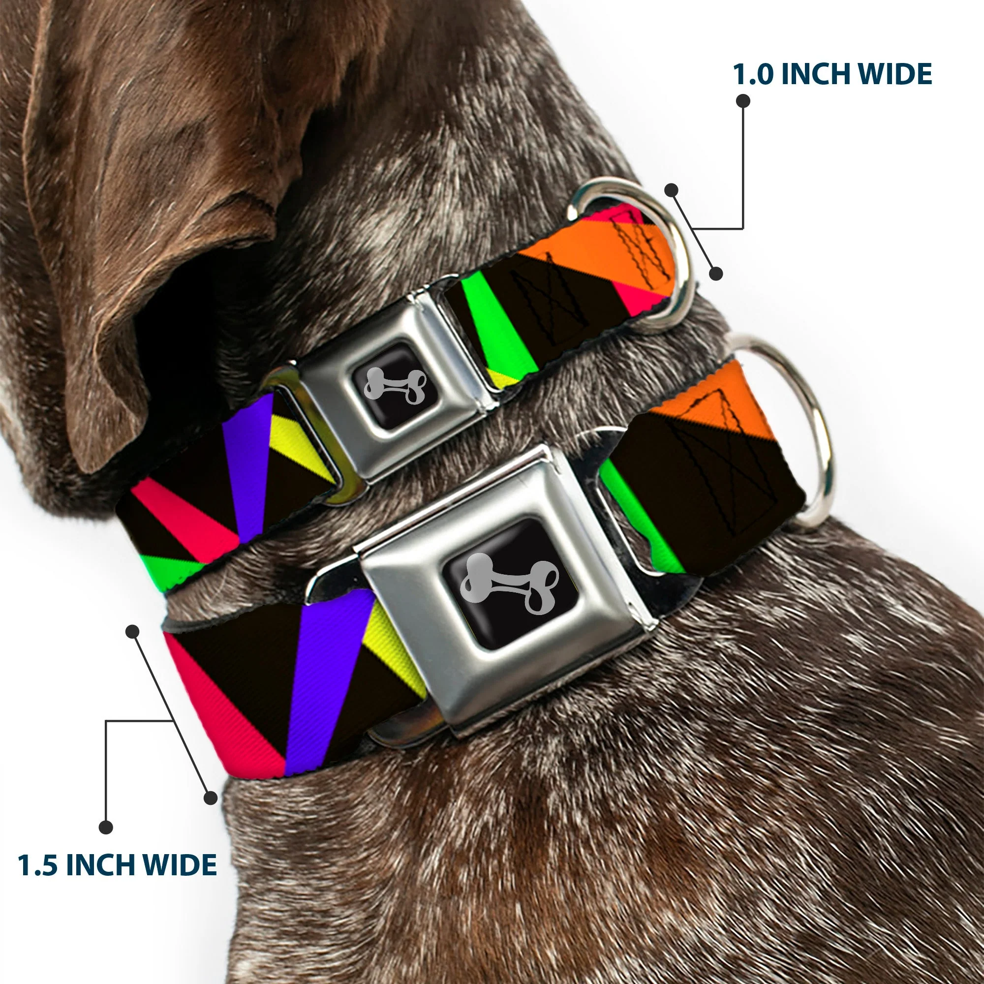 Dog Bone Seatbelt Buckle Collar - Spotlight Black/Multi Neon - Image 2