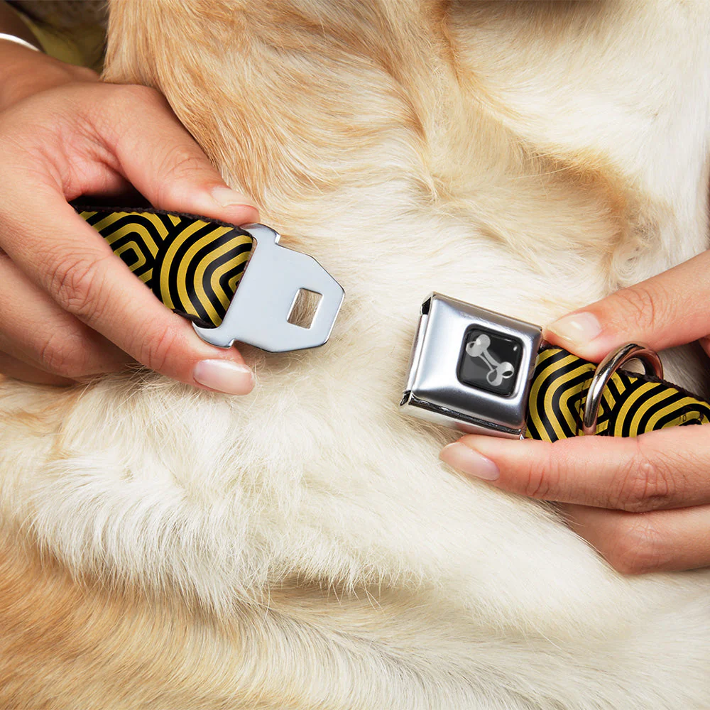 Dog Bone Seatbelt Buckle Collar - Square Target Gold/Black - Image 8