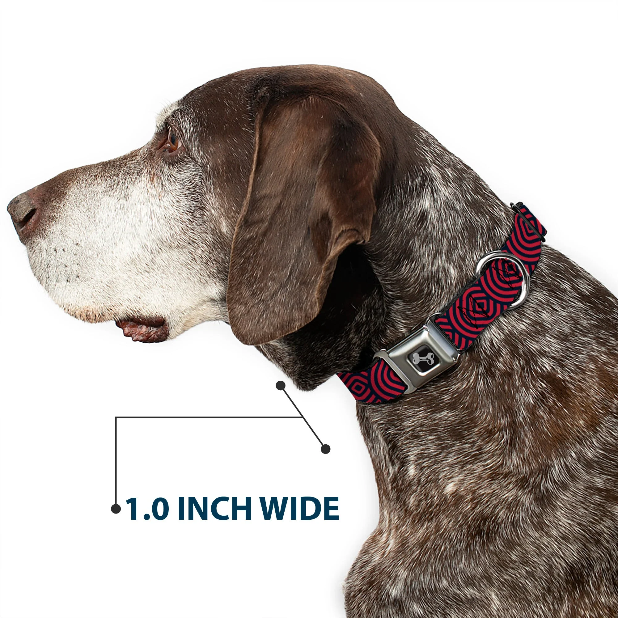 Dog Bone Seatbelt Buckle Collar - Square Target Red/Navy - Image 6