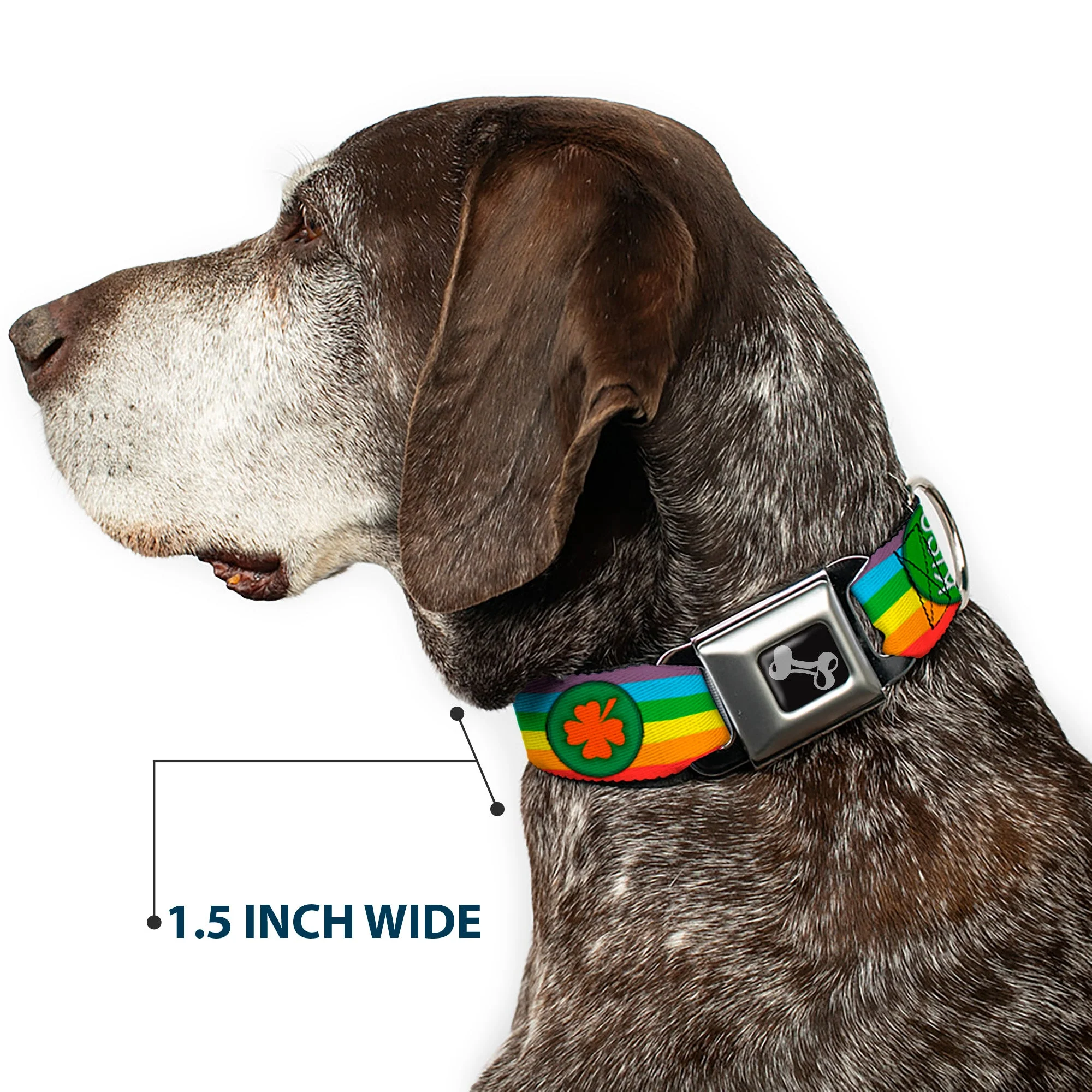 Dog Bone Seatbelt Buckle Collar - St. Pat's Rainbow/Coins - Image 7