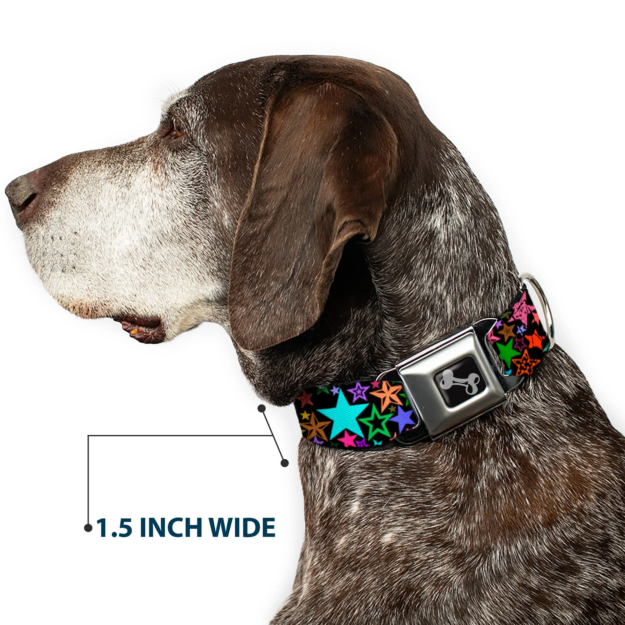 Dog Bone Seatbelt Buckle Collar - Stargazer Black/Multi Color - Image 7
