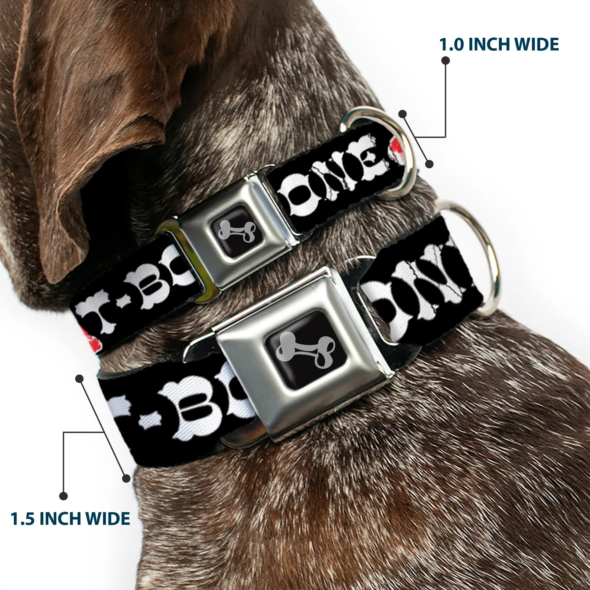 Dog Bone Seatbelt Buckle Collar - Steaks w/T-BONE Text - Image 2