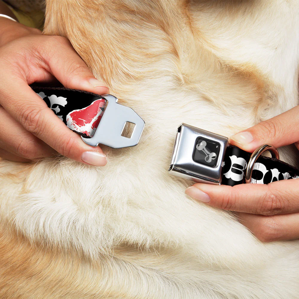 Dog Bone Seatbelt Buckle Collar - Steaks w/T-BONE Text - Image 8