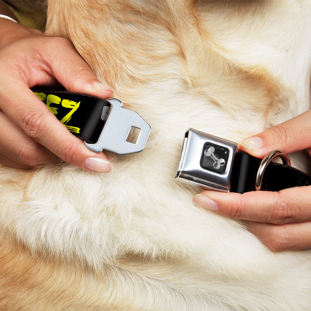 Dog Bone Seatbelt Buckle Collar - STEEZ Brushed Black/Yellow - Image 8