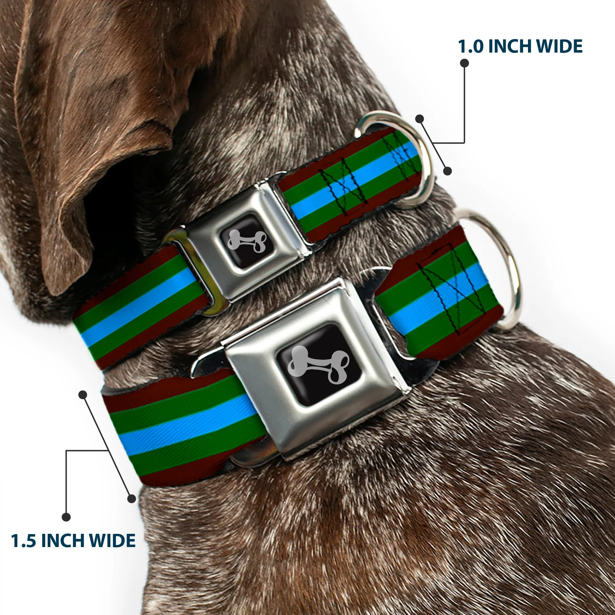 Dog Bone Seatbelt Buckle Collar - Stripes Brown/Green/Baby Blue - Image 2