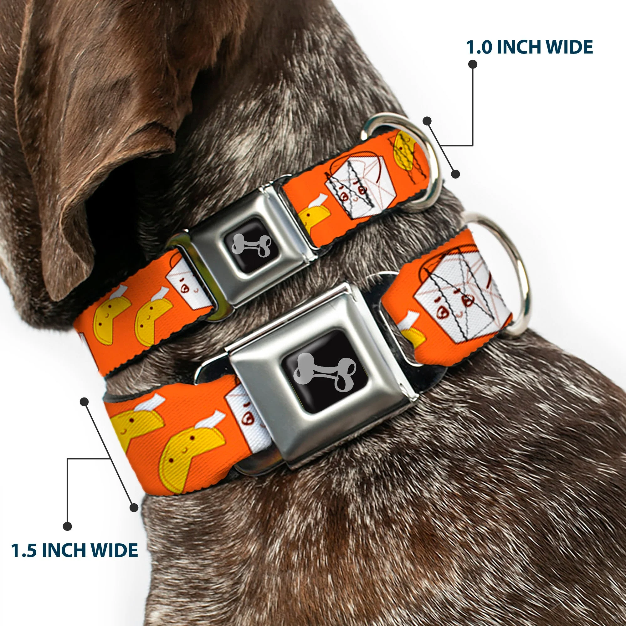 Dog Bone Seatbelt Buckle Collar - Take Out/Fortune Cookies Orange - Image 2