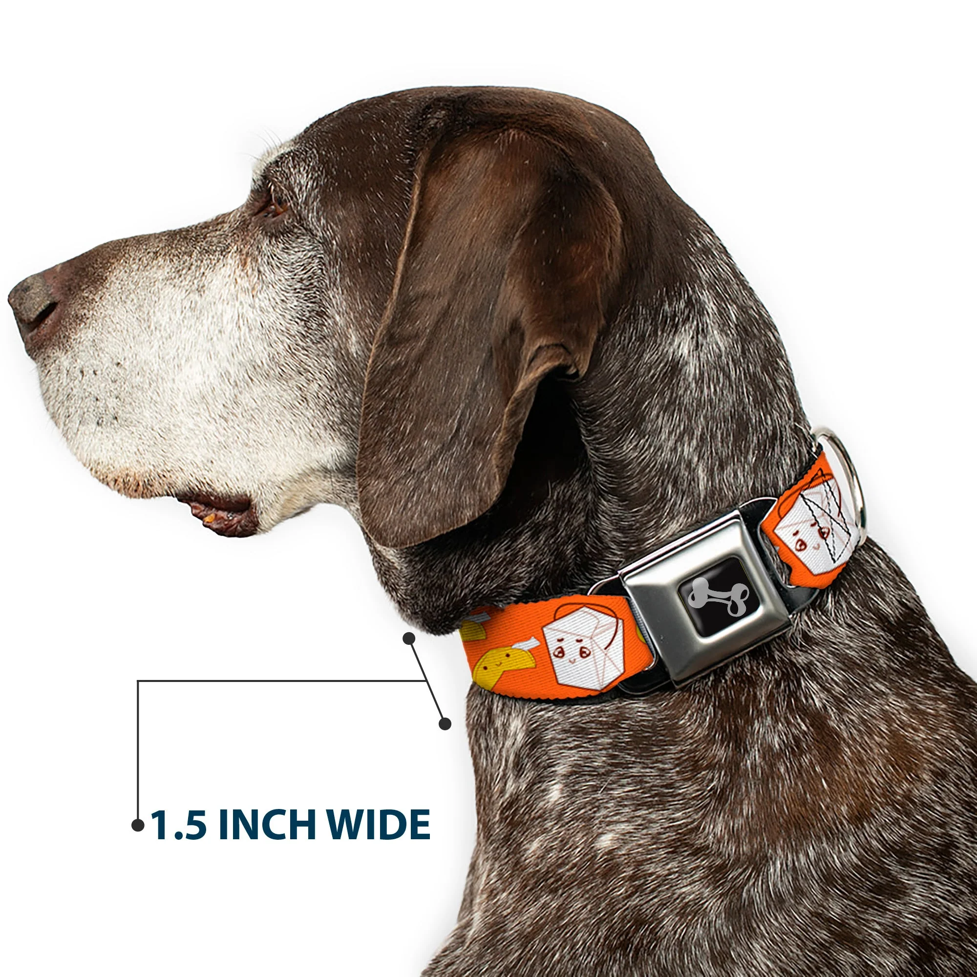 Dog Bone Seatbelt Buckle Collar - Take Out/Fortune Cookies Orange - Image 7