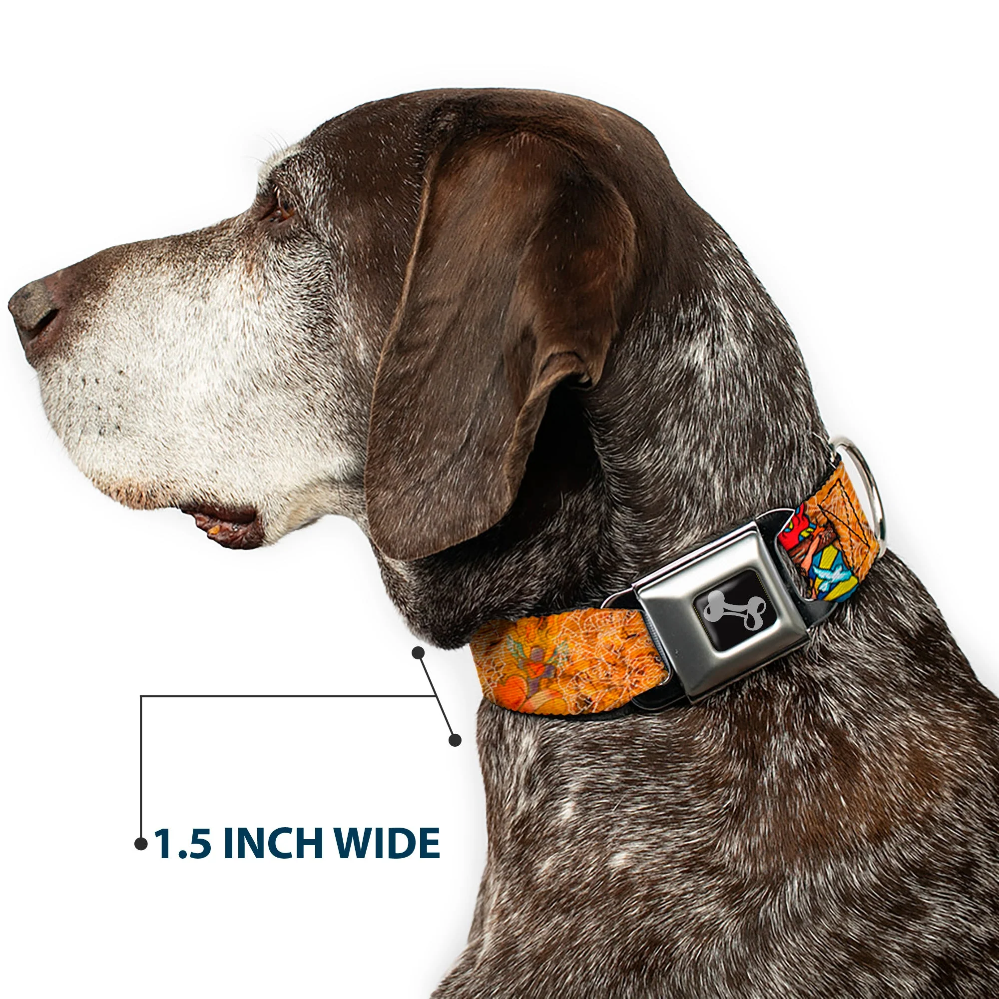 Dog Bone Seatbelt Buckle Collar - TJ-Religious - Image 7