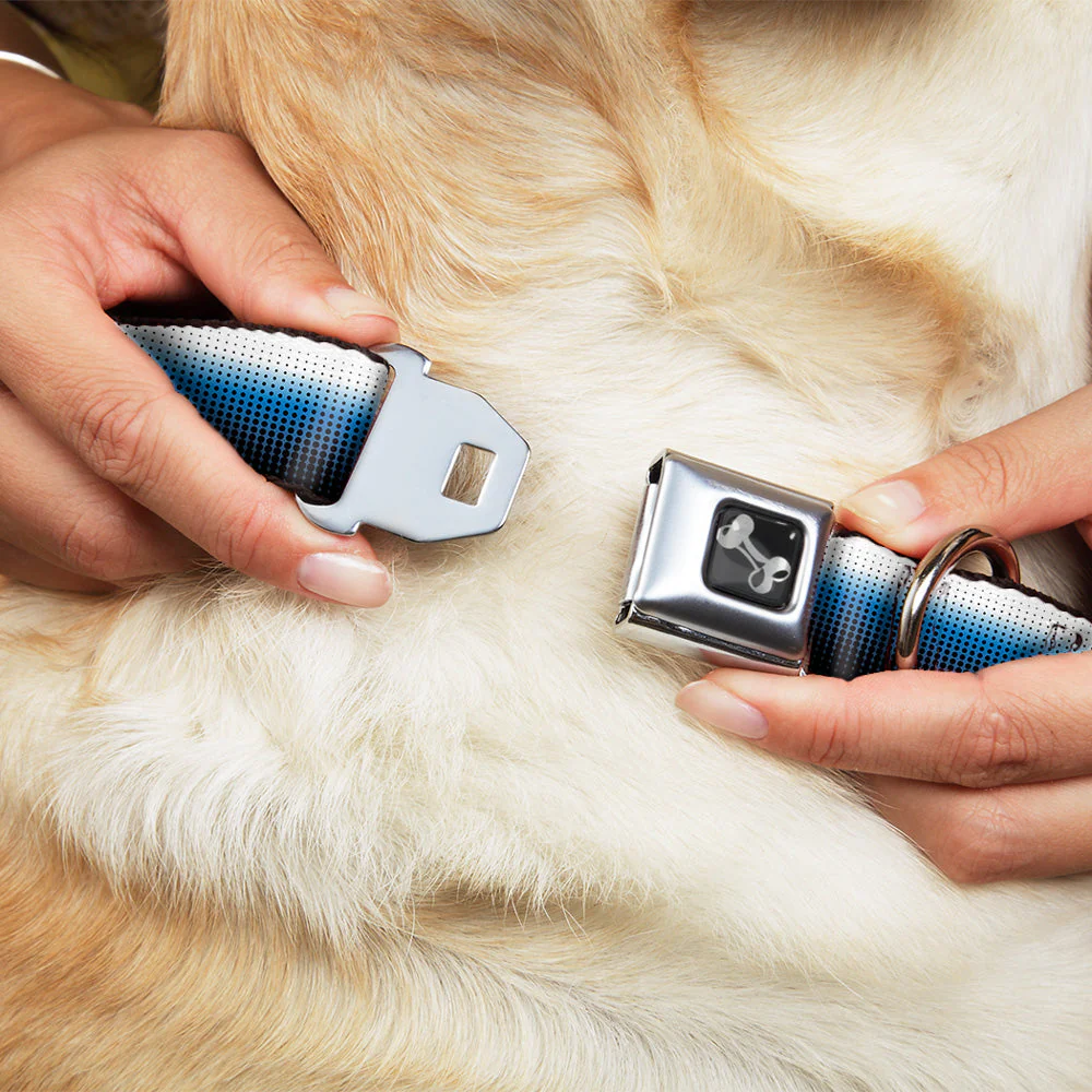Dog Bone Seatbelt Buckle Collar - Transitioning Dots White/Blue/Black - Image 8