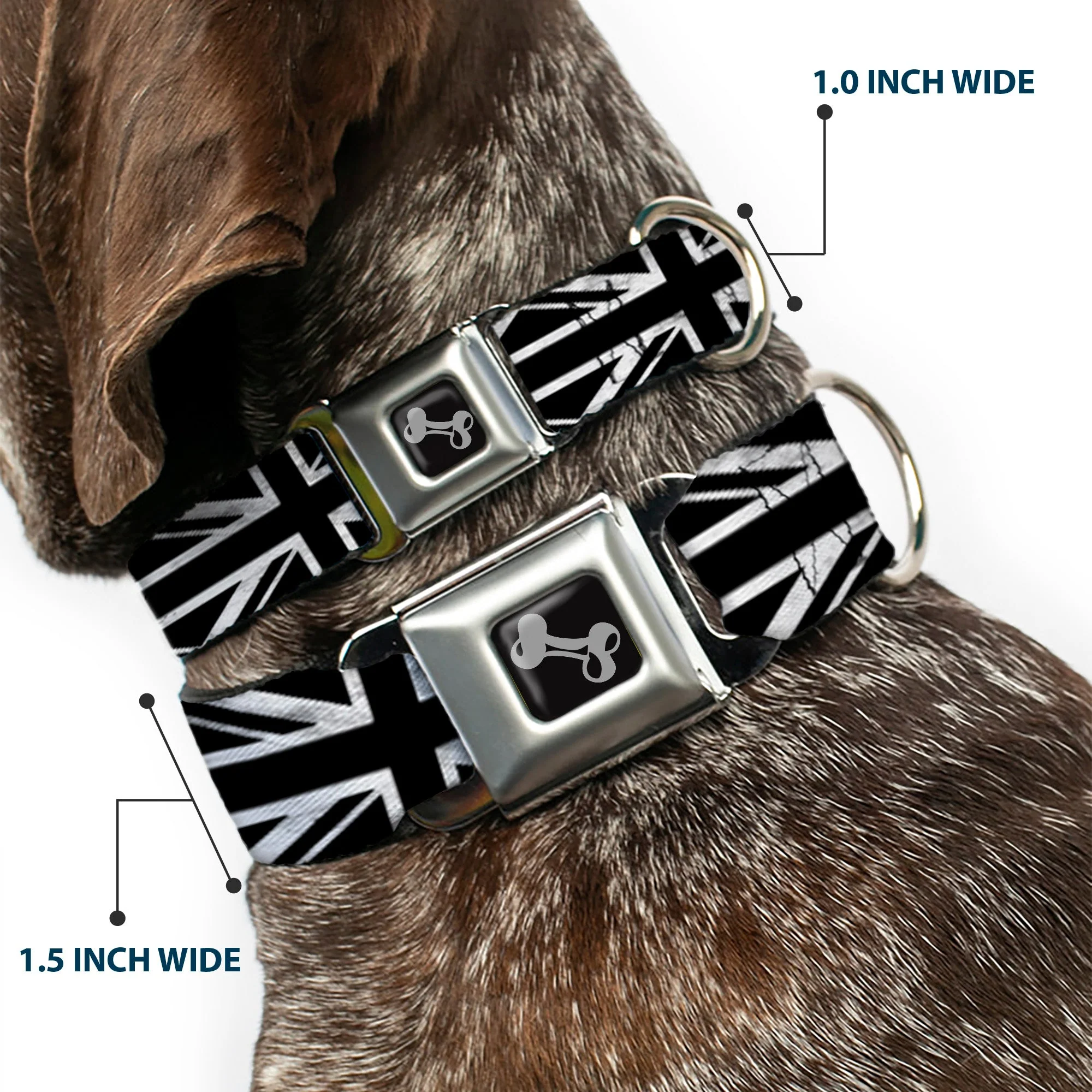 Dog Bone Seatbelt Buckle Collar - Union Jack Distressed Black/White - Image 2