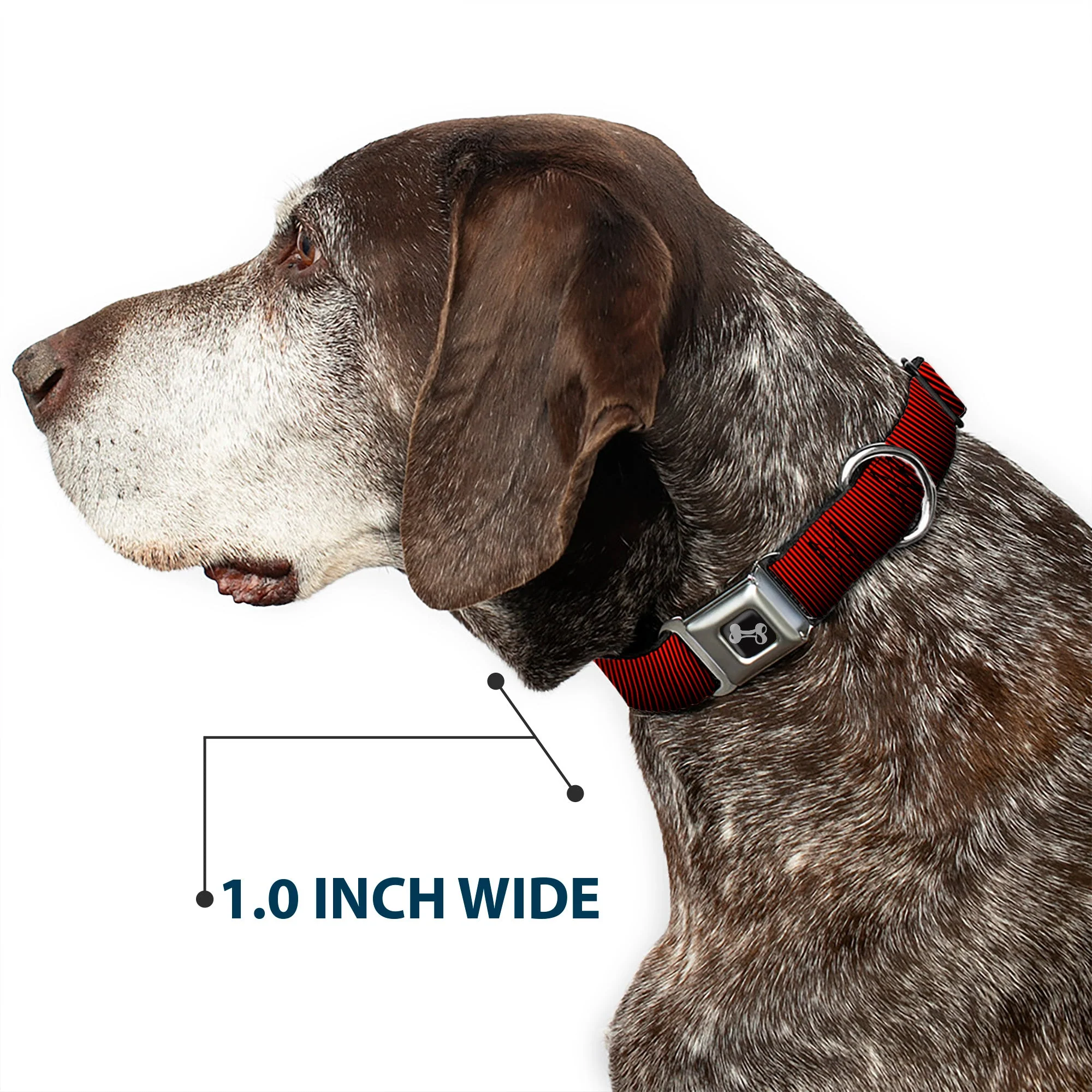 Dog Bone Seatbelt Buckle Collar - Vertical Stripes Transition Black/Red - Image 6
