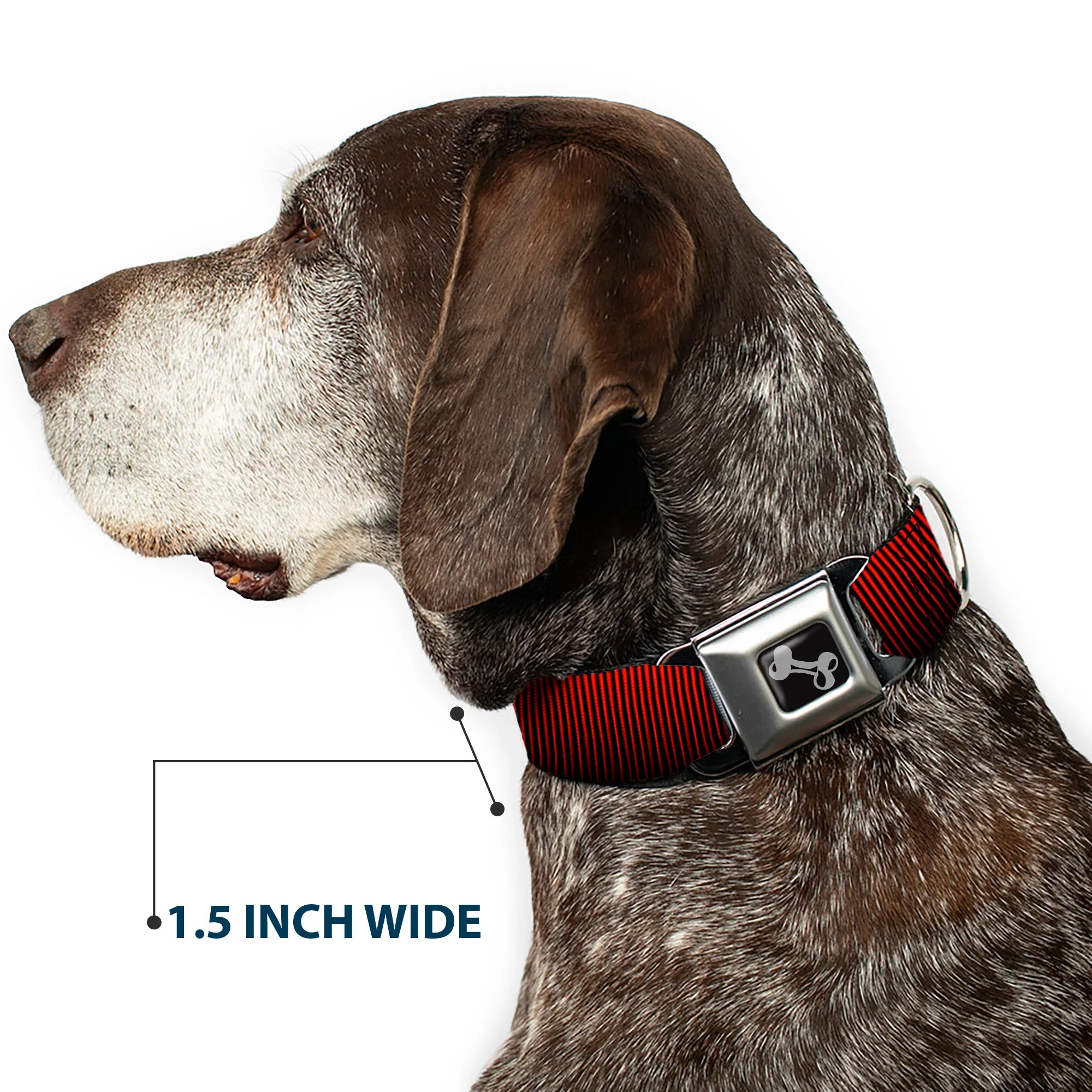 Dog Bone Seatbelt Buckle Collar - Vertical Stripes Transition Black/Red - Image 7