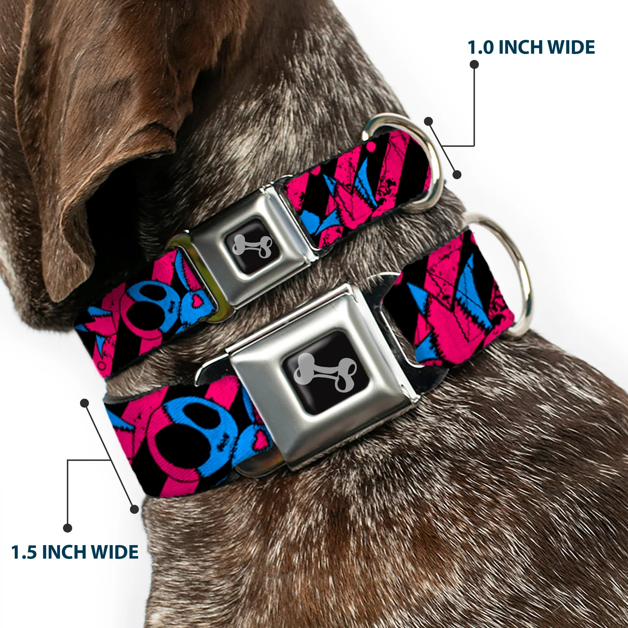 Dog Bone Seatbelt Buckle Collar - Voodoo Black/Pink/Blue - Image 2