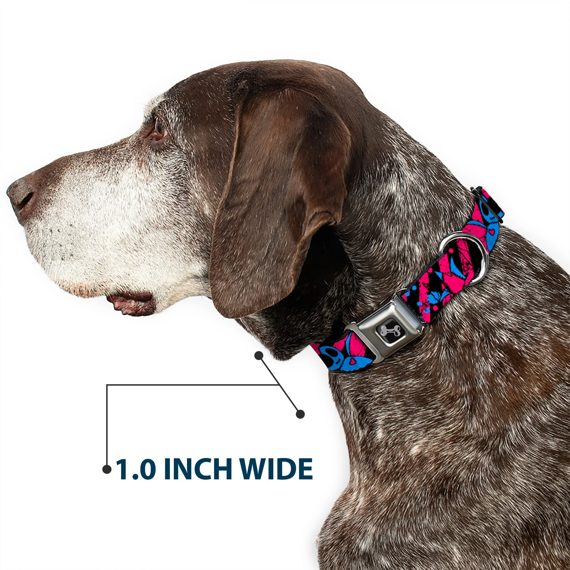 Dog Bone Seatbelt Buckle Collar - Voodoo Black/Pink/Blue - Image 6