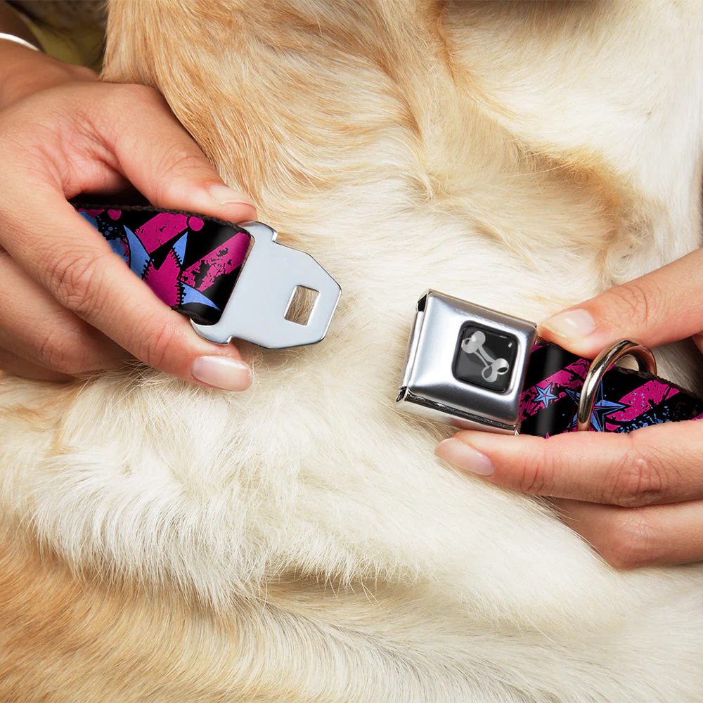 Dog Bone Seatbelt Buckle Collar - Voodoo Black/Pink/Blue - Image 8
