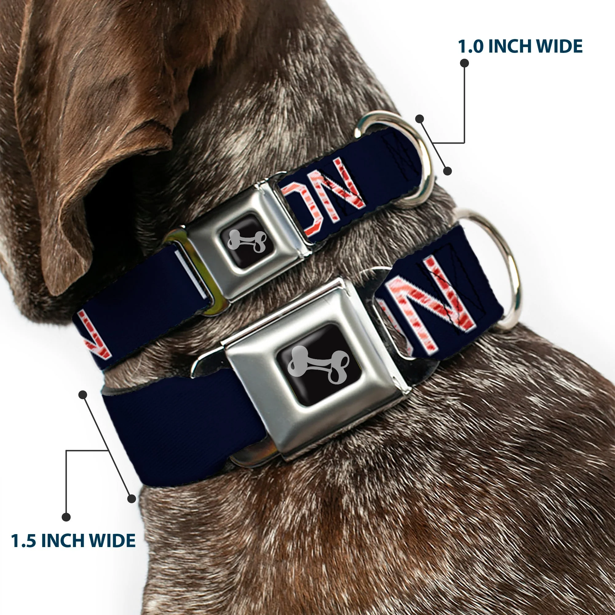 Dog Bone Seatbelt Buckle Collar - VOTE FOR BACON Black/White/Bacon - Image 2